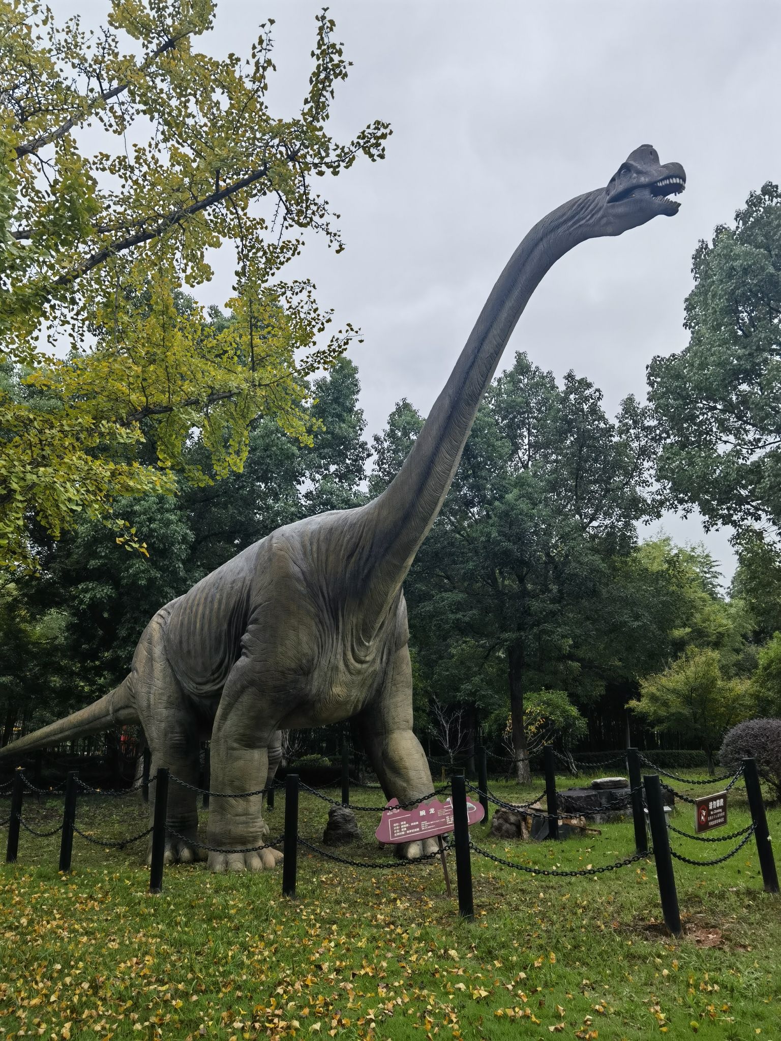 长兴金钉子远古世界景区旅行图片 1
