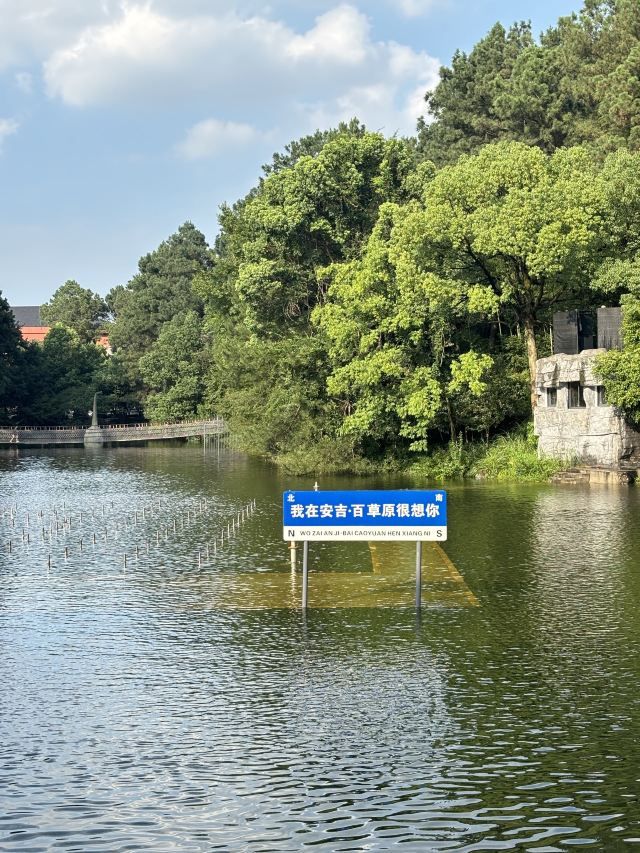 安吉中南百草原景区旅行图片 2