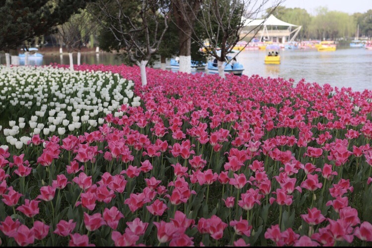 春晖公园