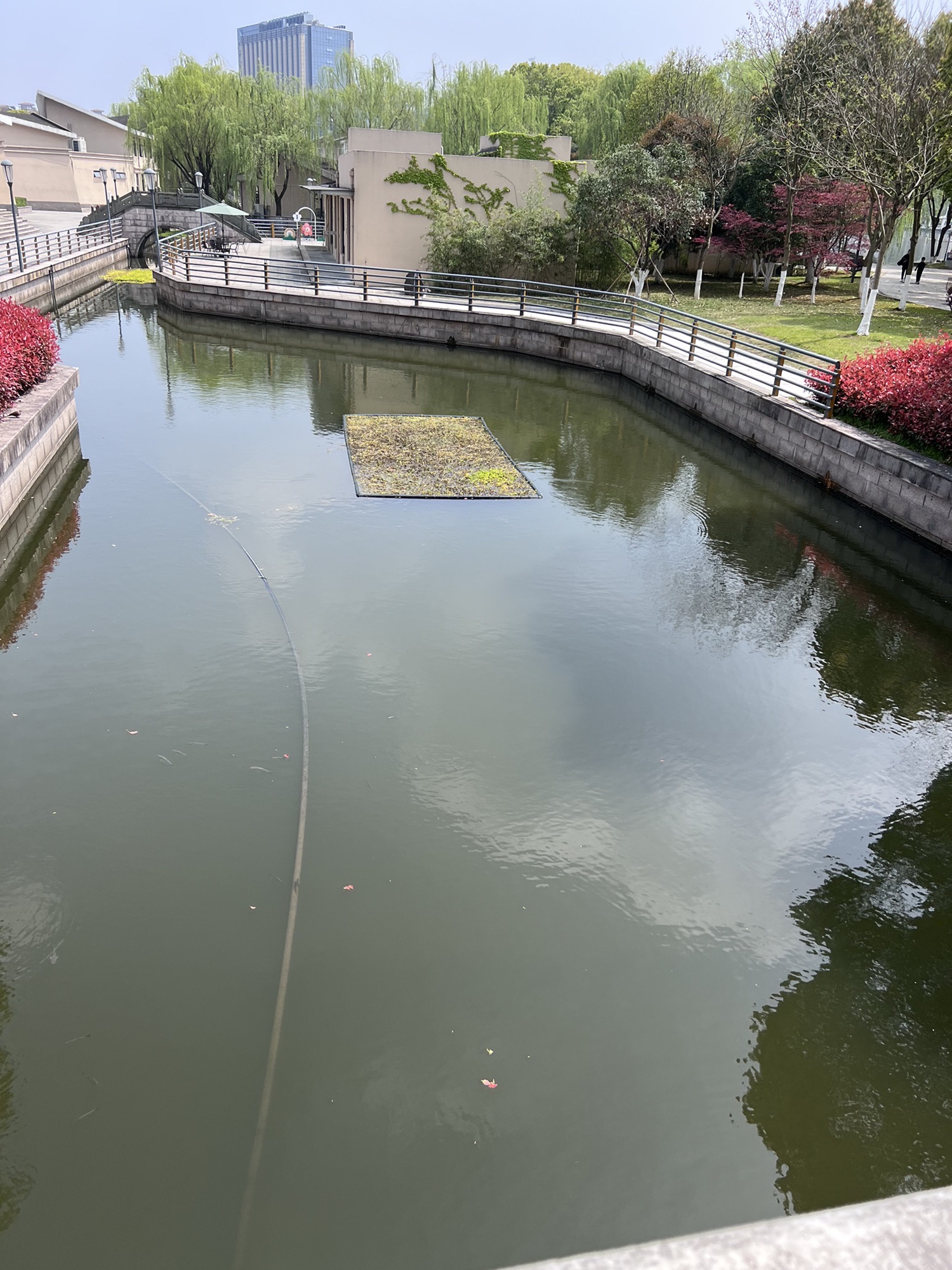 春晖公园旅行图片 2
