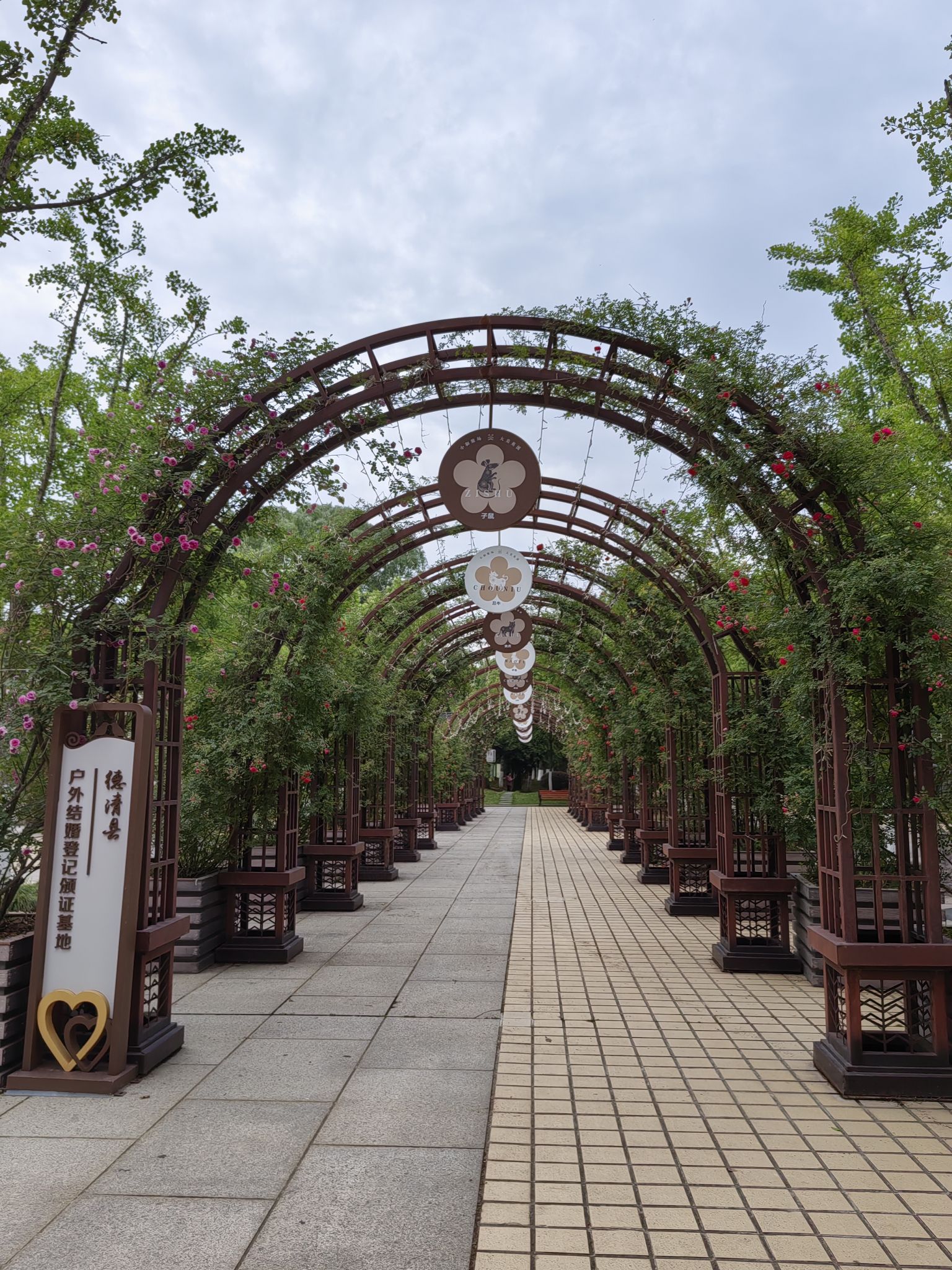 春晖公园旅行图片 3