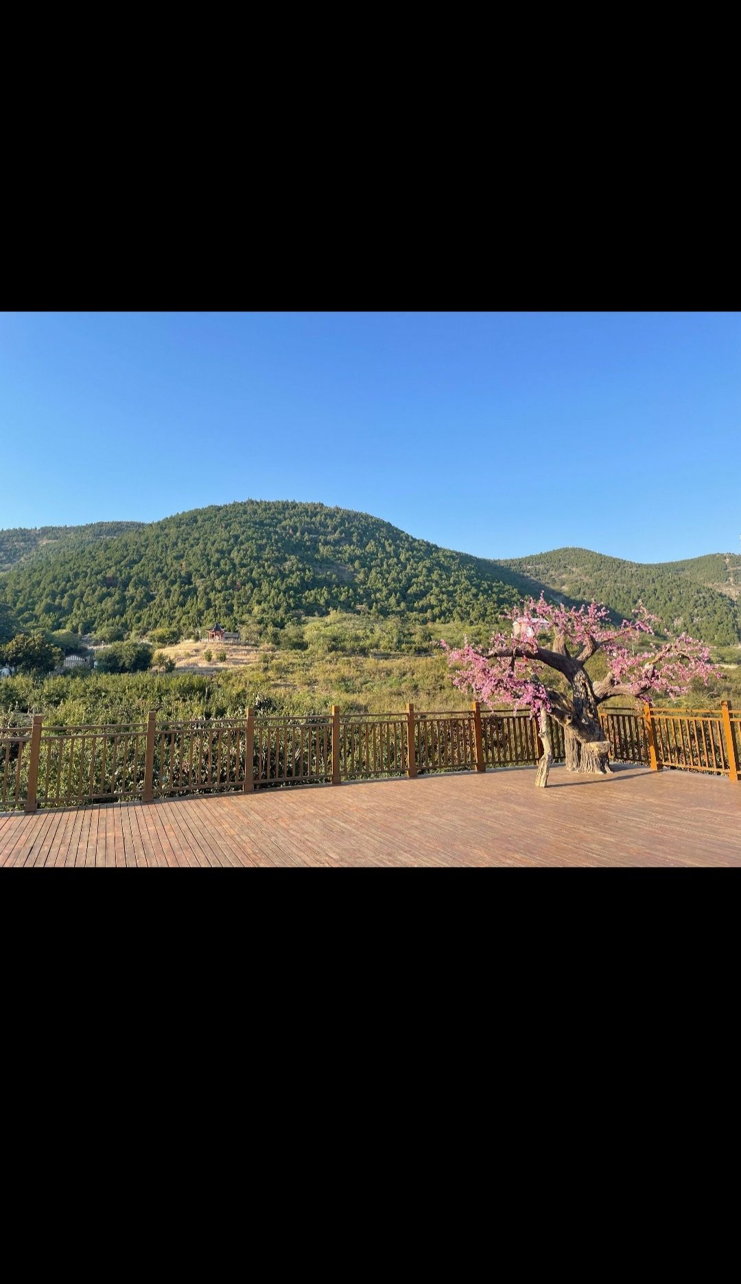洞山风景区旅行图片 1