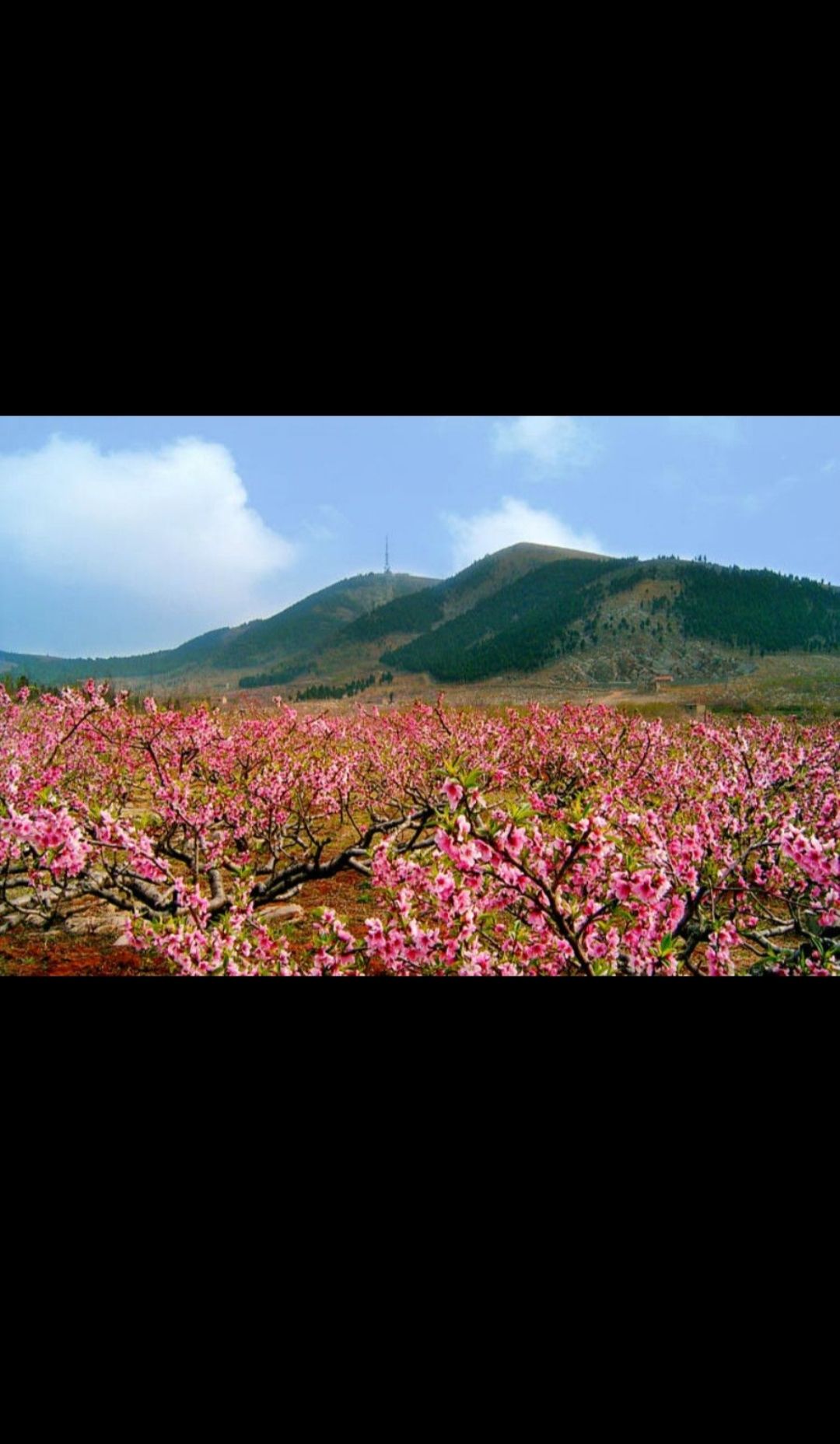 洞山风景区旅行图片 2