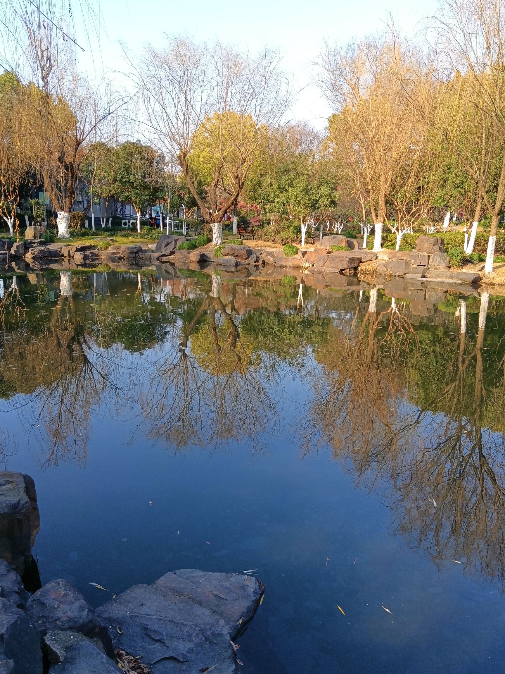 白鱼潭公园旅行图片 1