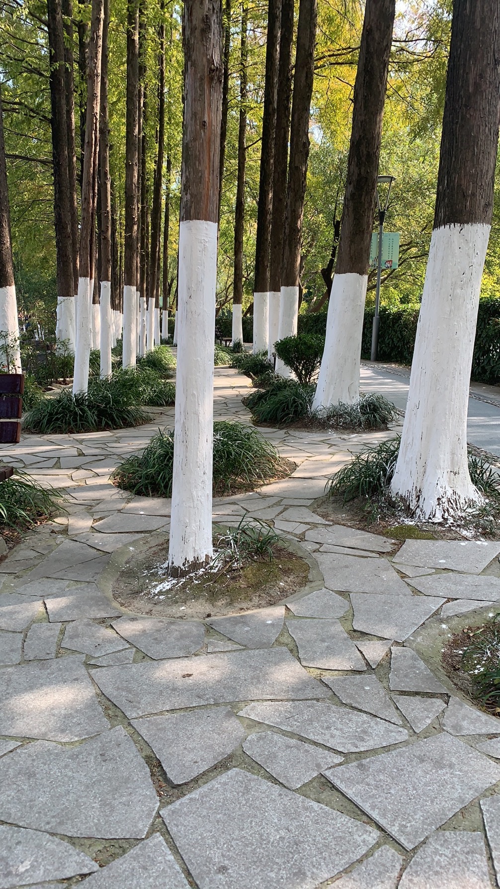 白鱼潭公园旅行图片 2
