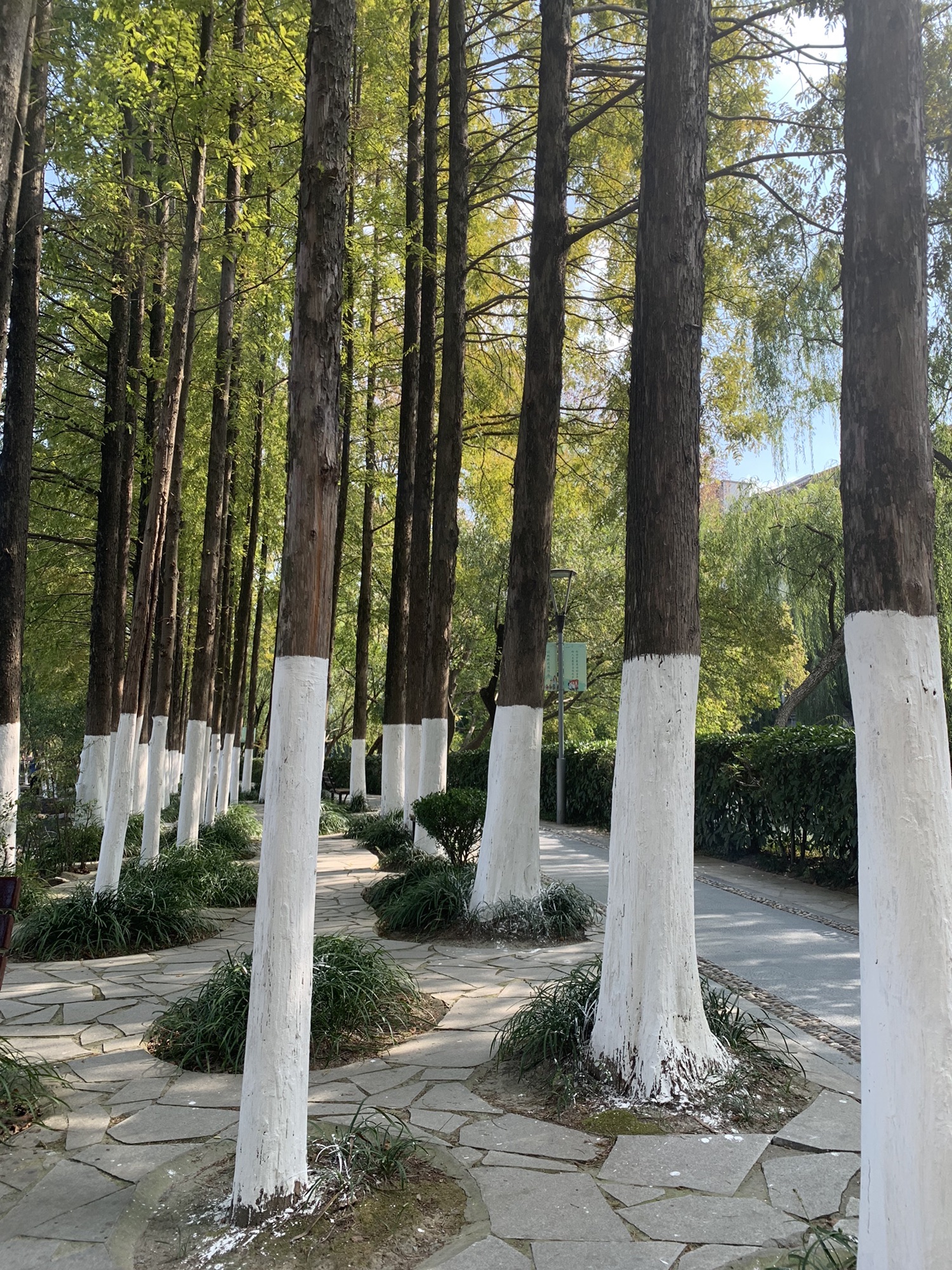 白鱼潭公园旅行图片 1
