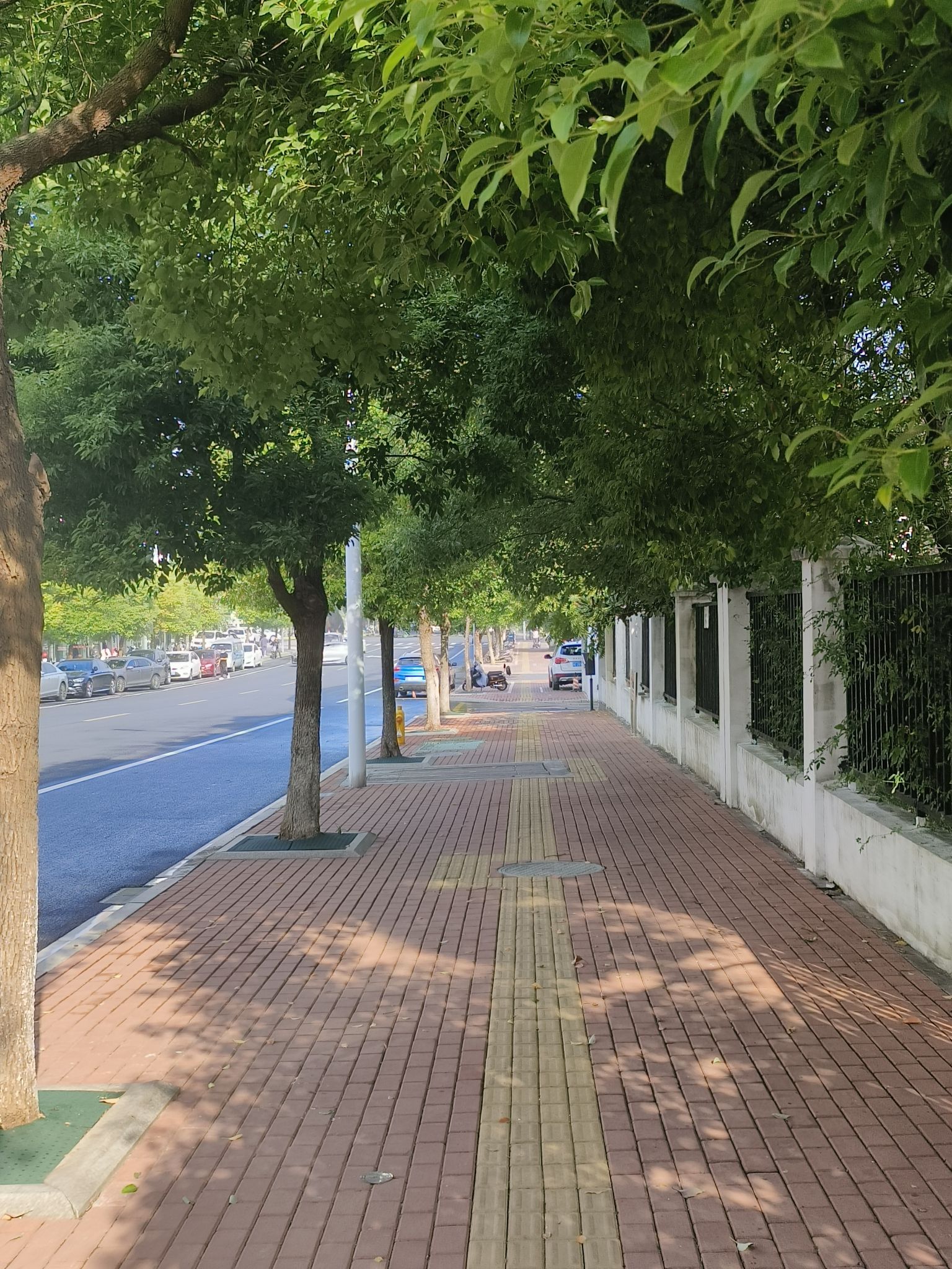 白鱼潭公园旅行图片 1