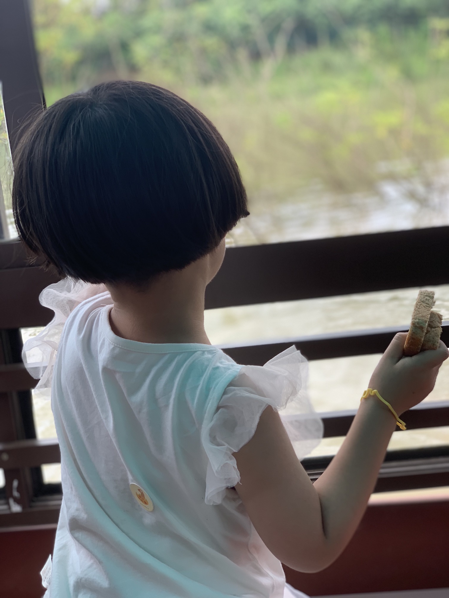 中国扬子鳄村景区旅行图片 3