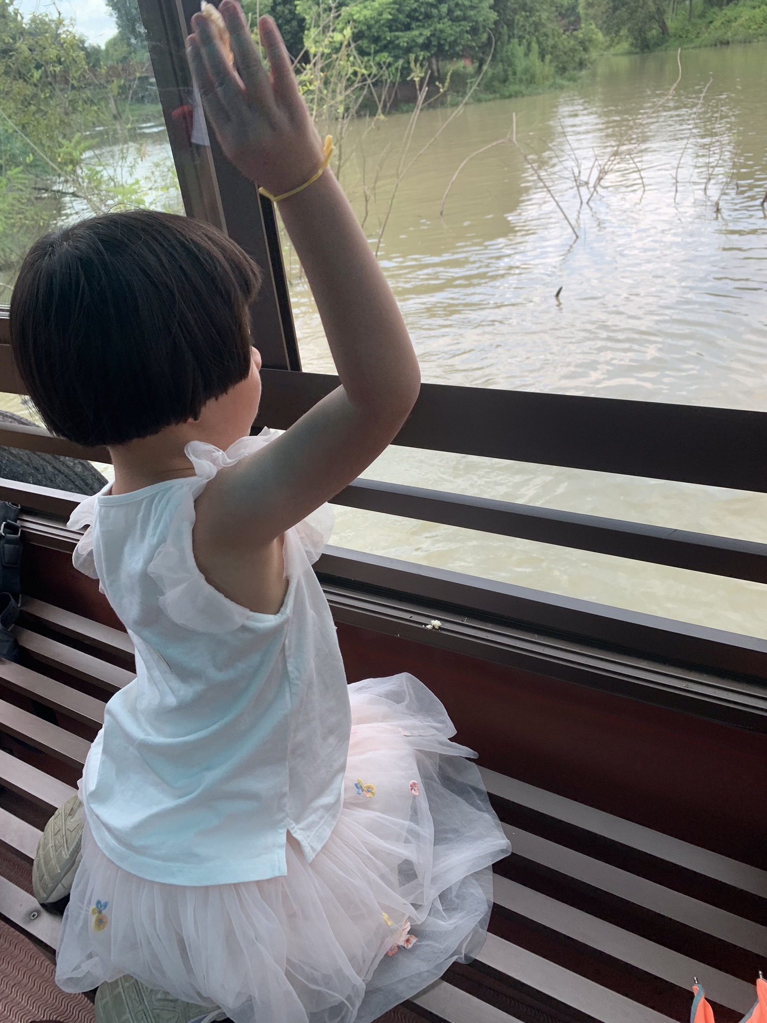 中国扬子鳄村景区旅行图片 1