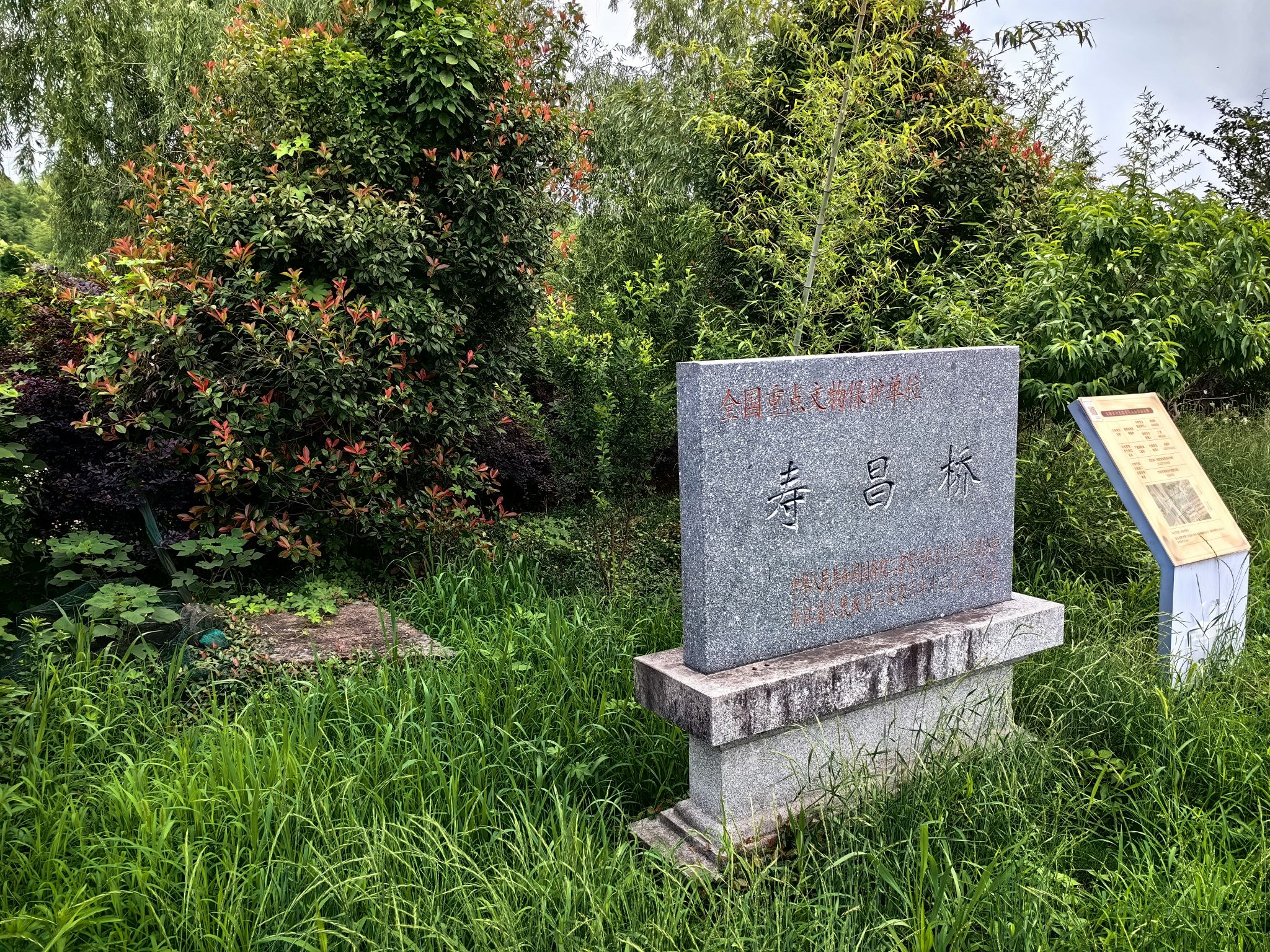 寿昌桥旅行图片 1