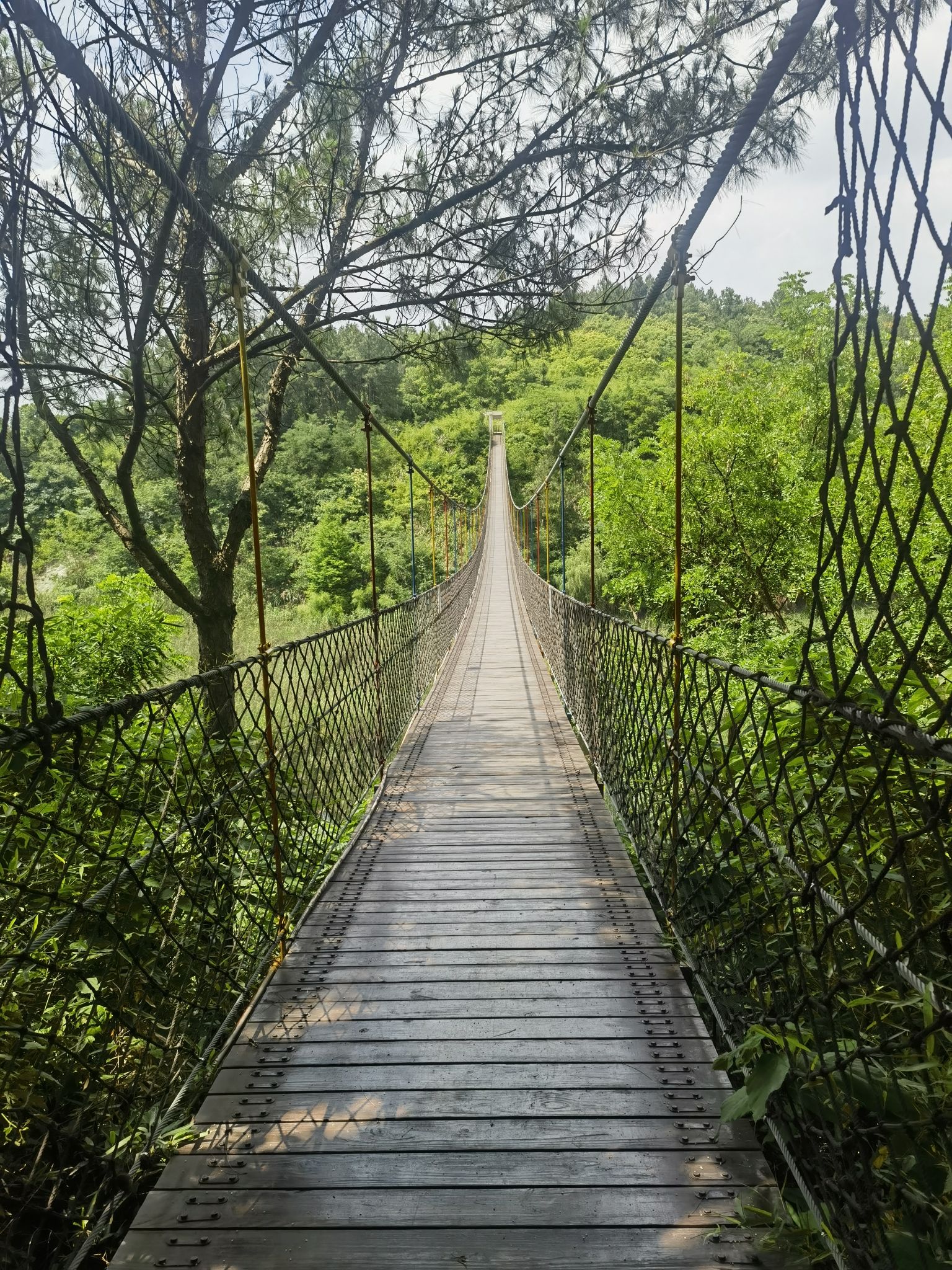 仙山湖旅行图片 3