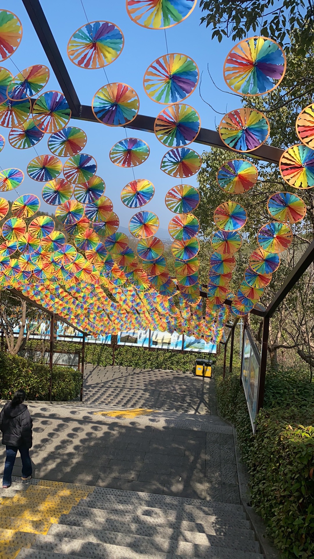 仙山湖旅行图片 2