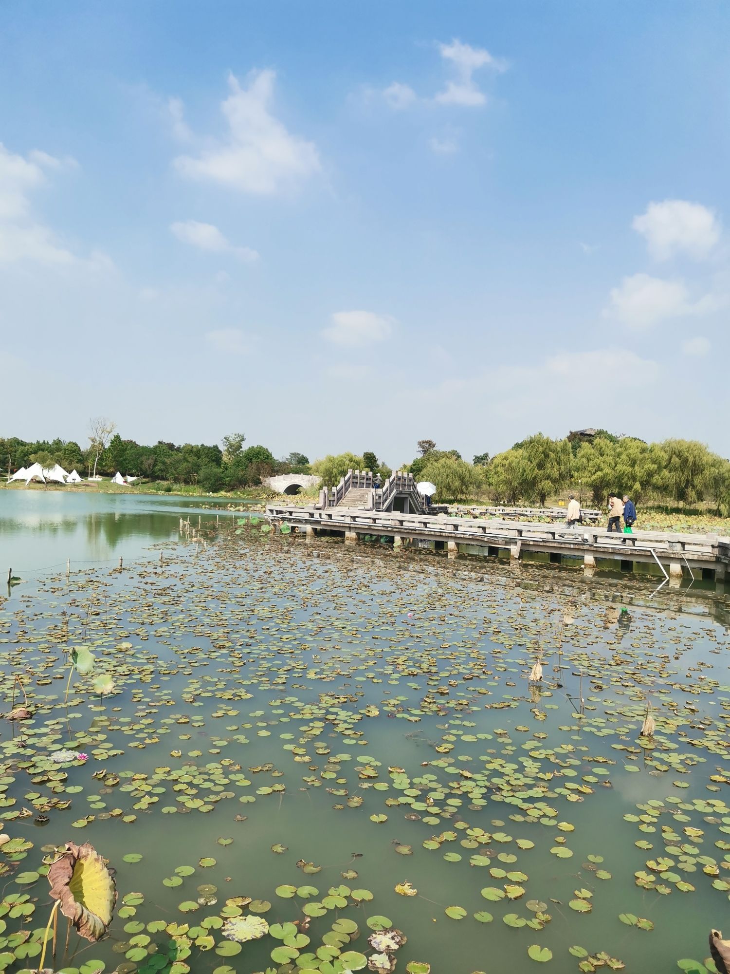 仙山湖旅行图片 2