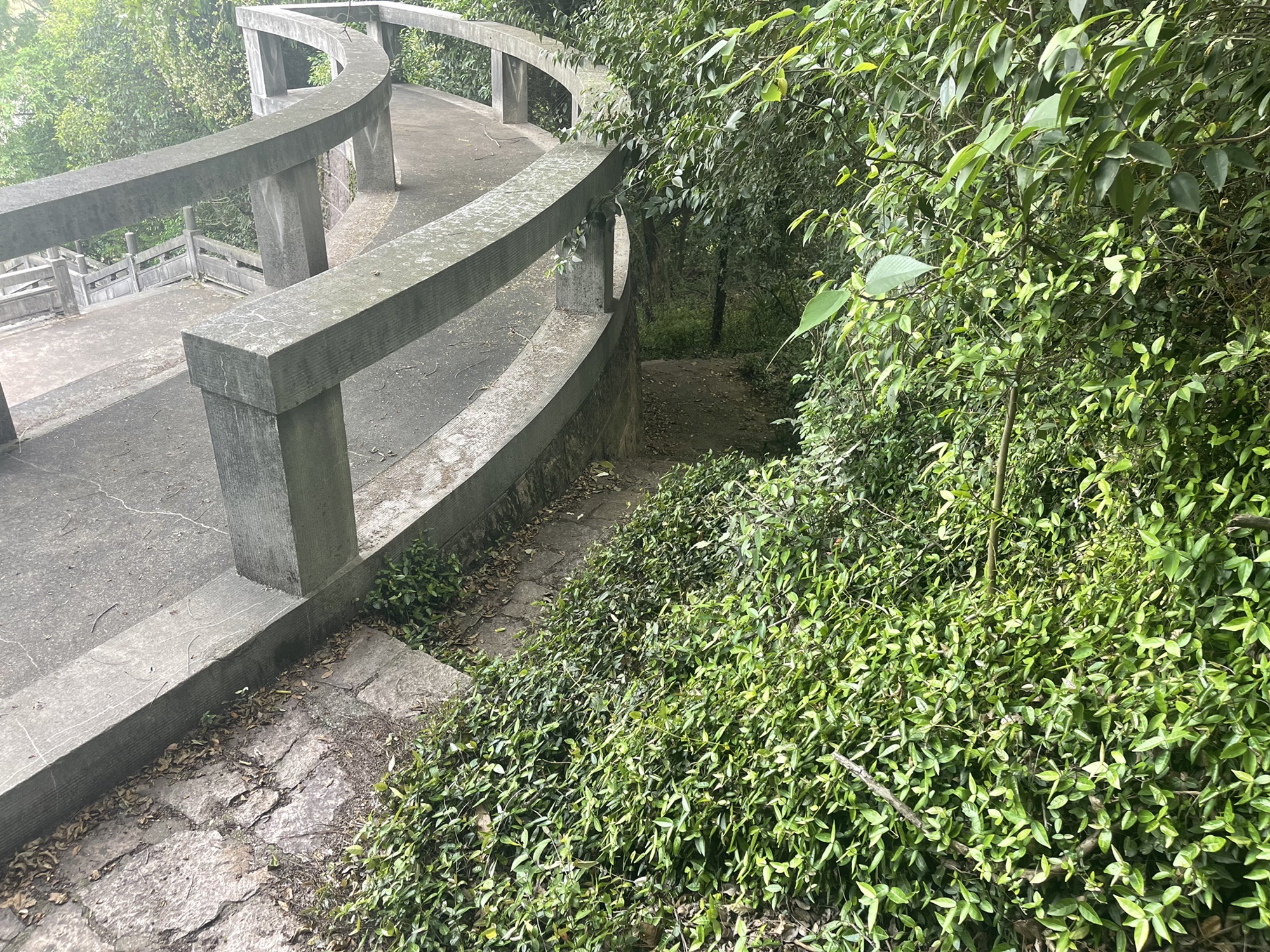陈英士墓旅行图片 3