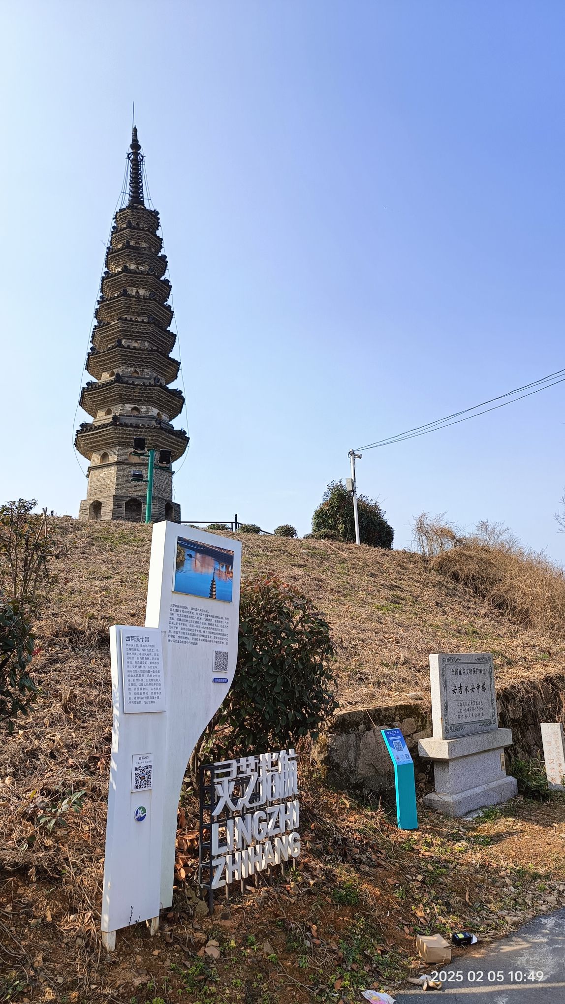 灵芝塔旅行图片 3