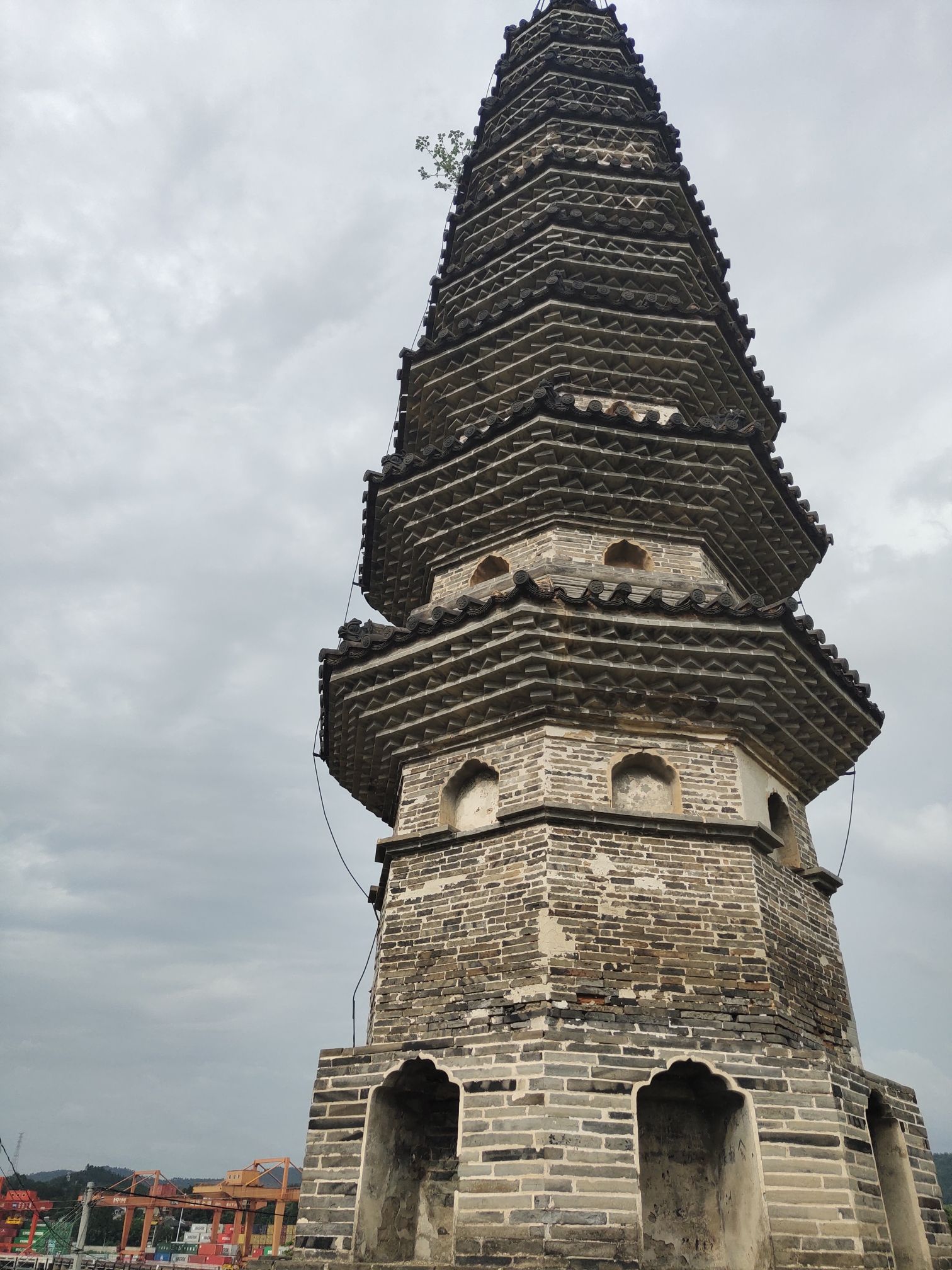 灵芝塔旅行图片 3