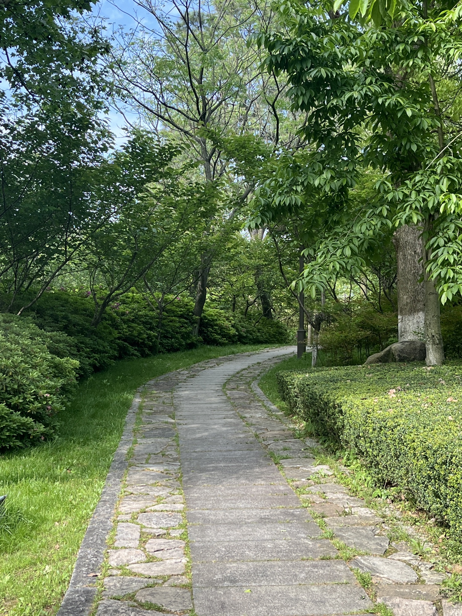 浙江梁希国家森林公园旅行图片 2