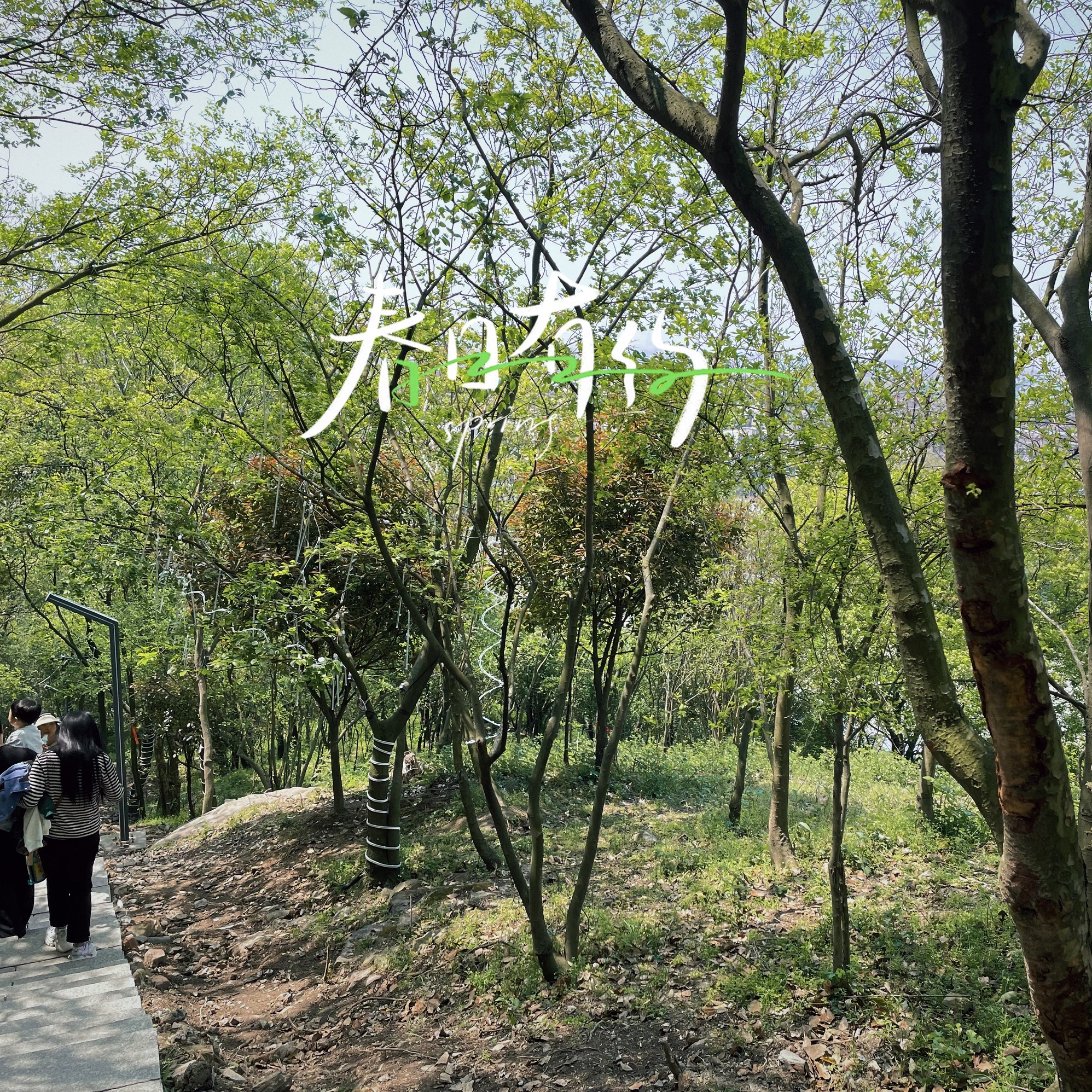 含山风景区旅行图片 3