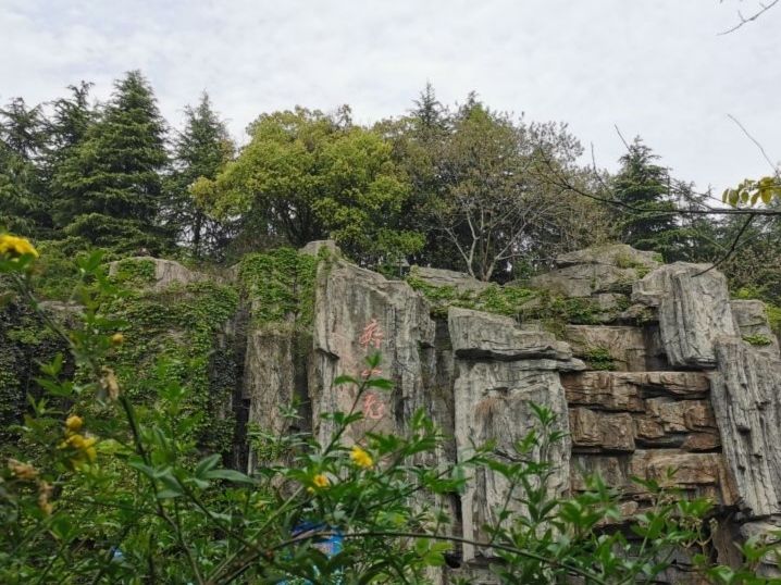 齐山植物公园旅行图片 2