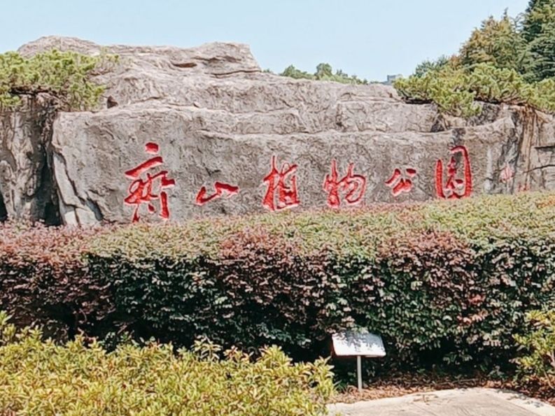 齐山植物公园旅行图片 1