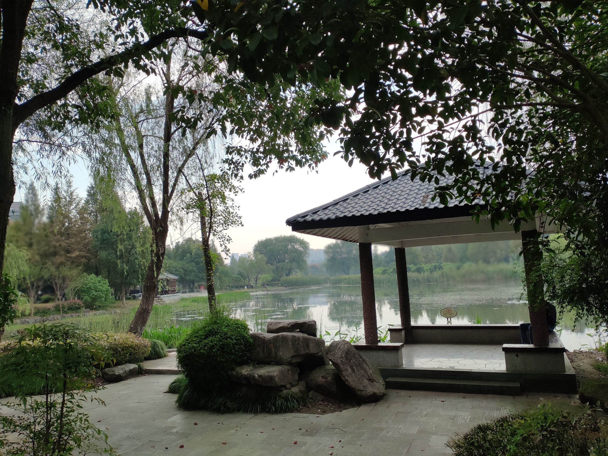 长兴画溪湿地公园旅行图片 1