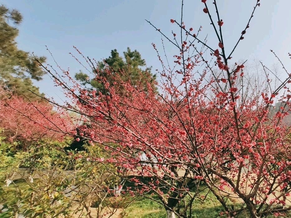 长兴画溪湿地公园旅行图片 2