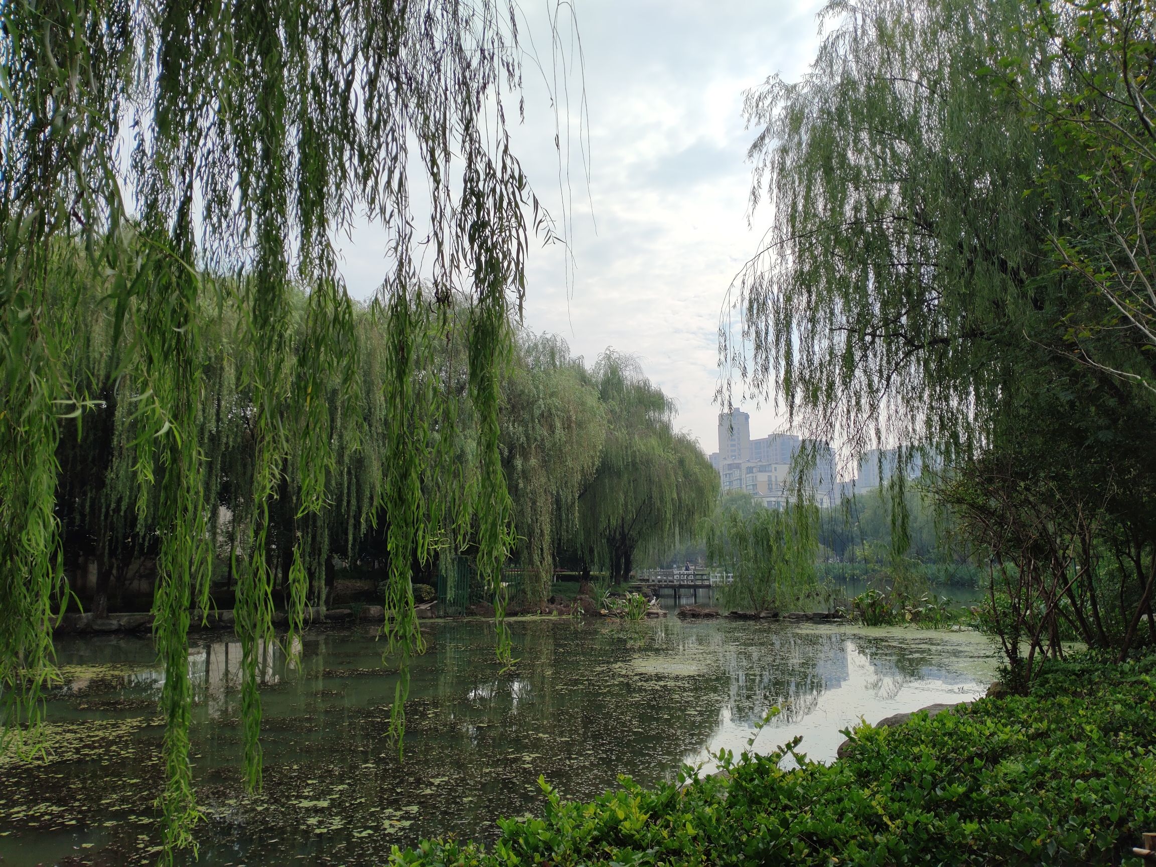 长兴画溪湿地公园旅行图片 3