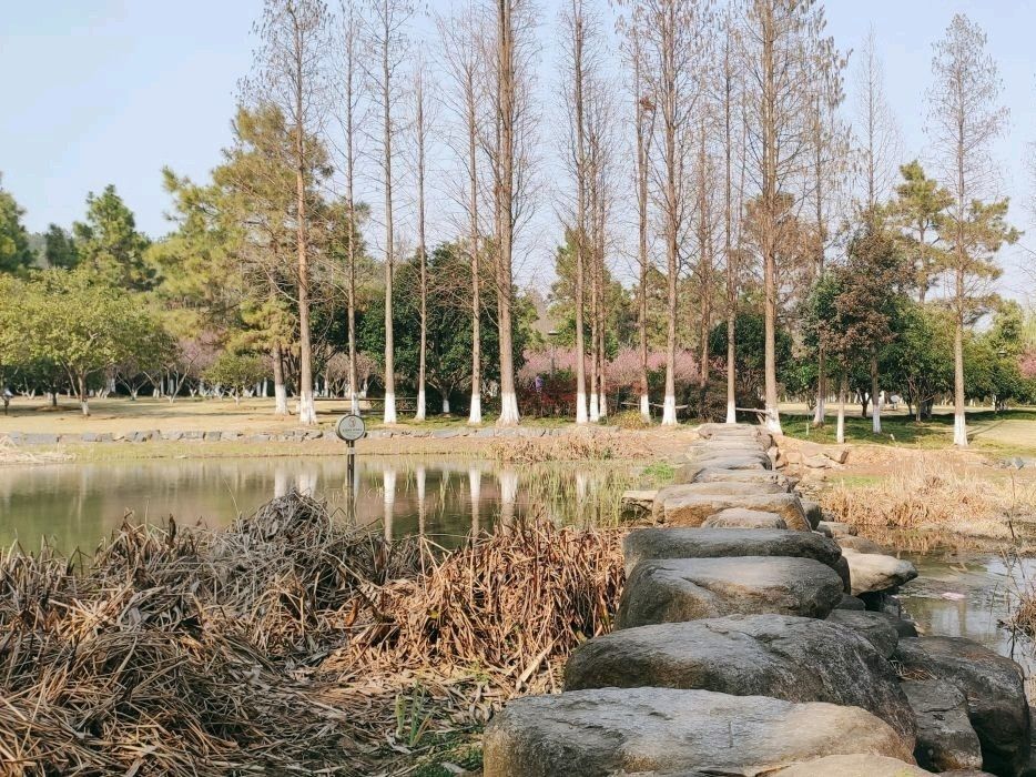 长兴画溪湿地公园旅行图片 3