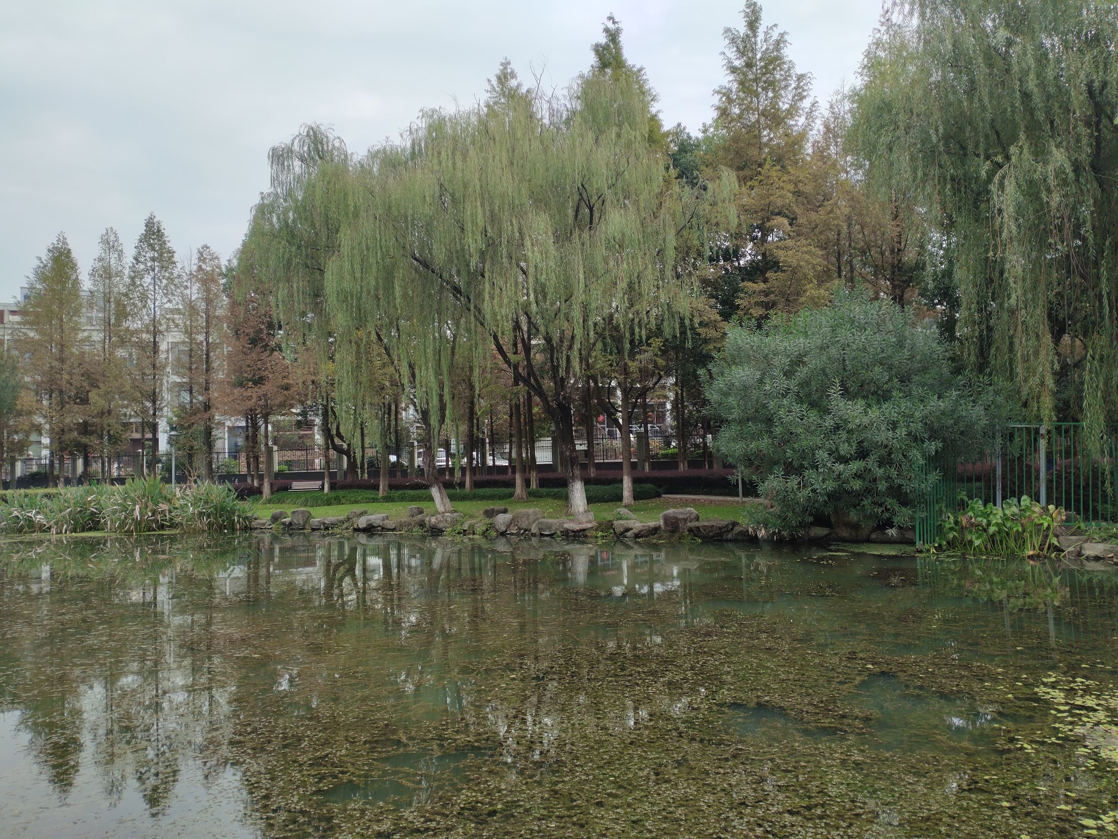 长兴画溪湿地公园旅行图片 2