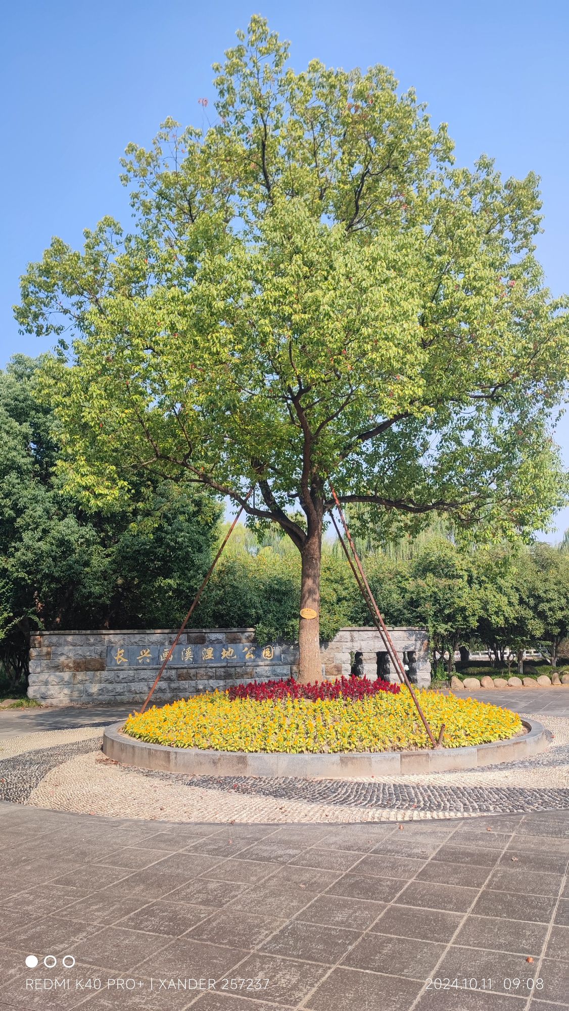 长兴画溪湿地公园旅行图片 1