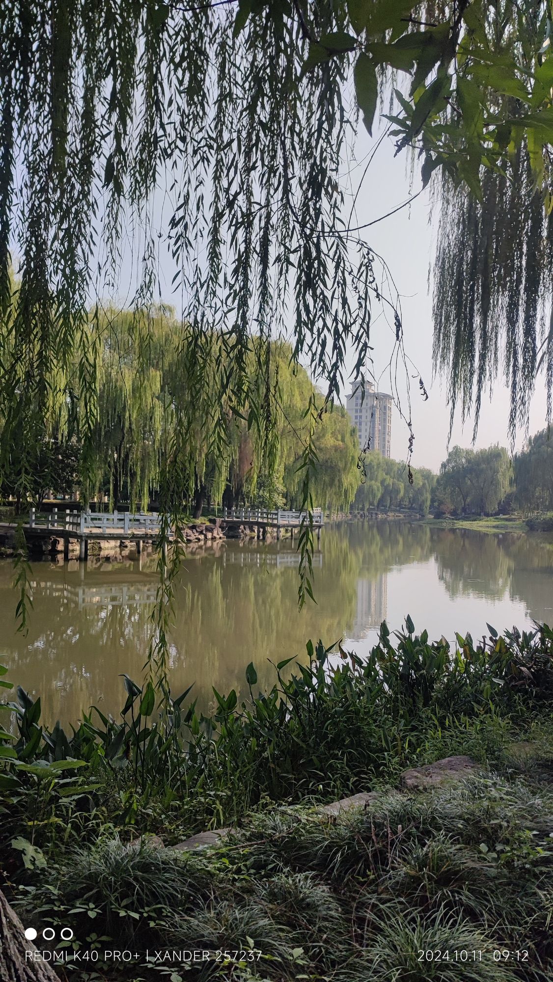 长兴画溪湿地公园旅行图片 2