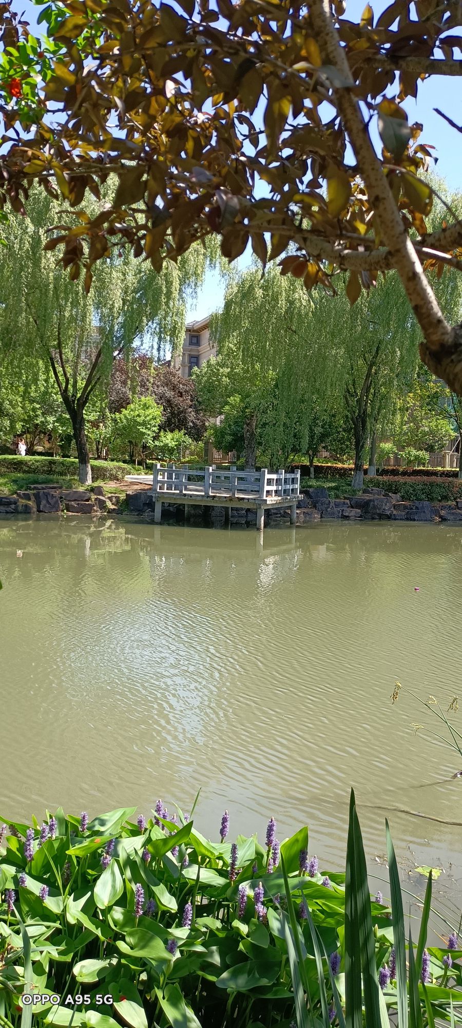长兴画溪湿地公园旅行图片 2