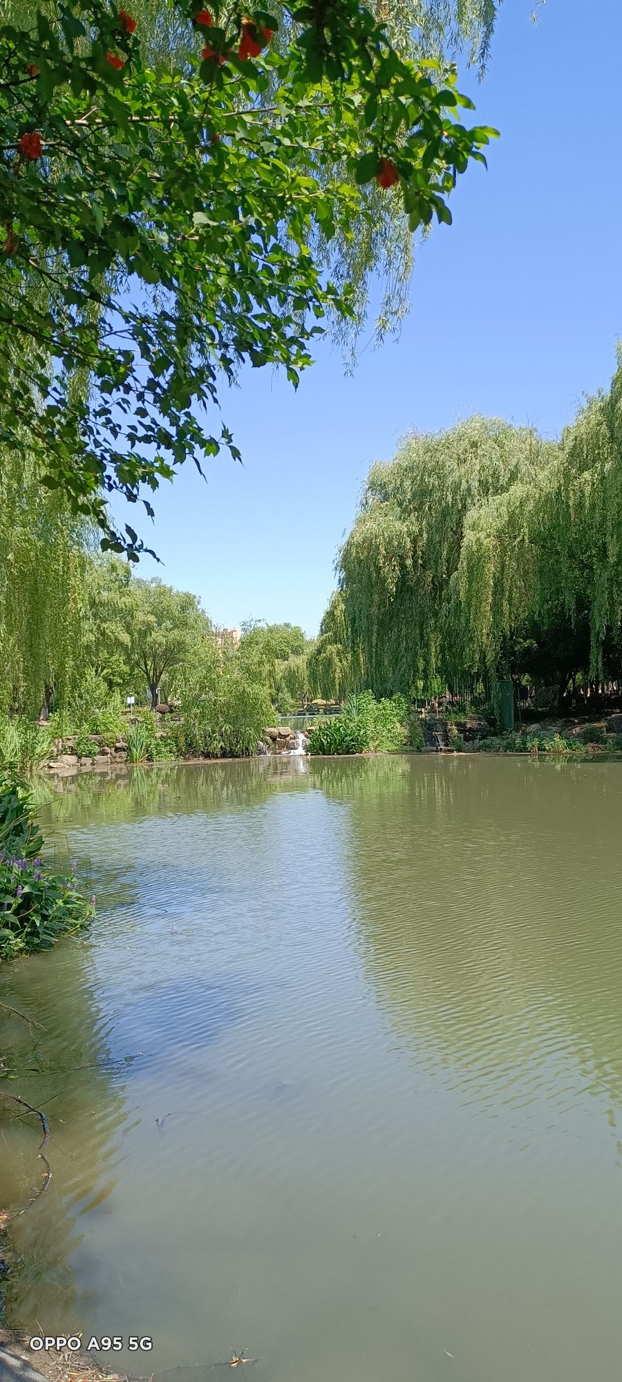 长兴画溪湿地公园旅行图片 3