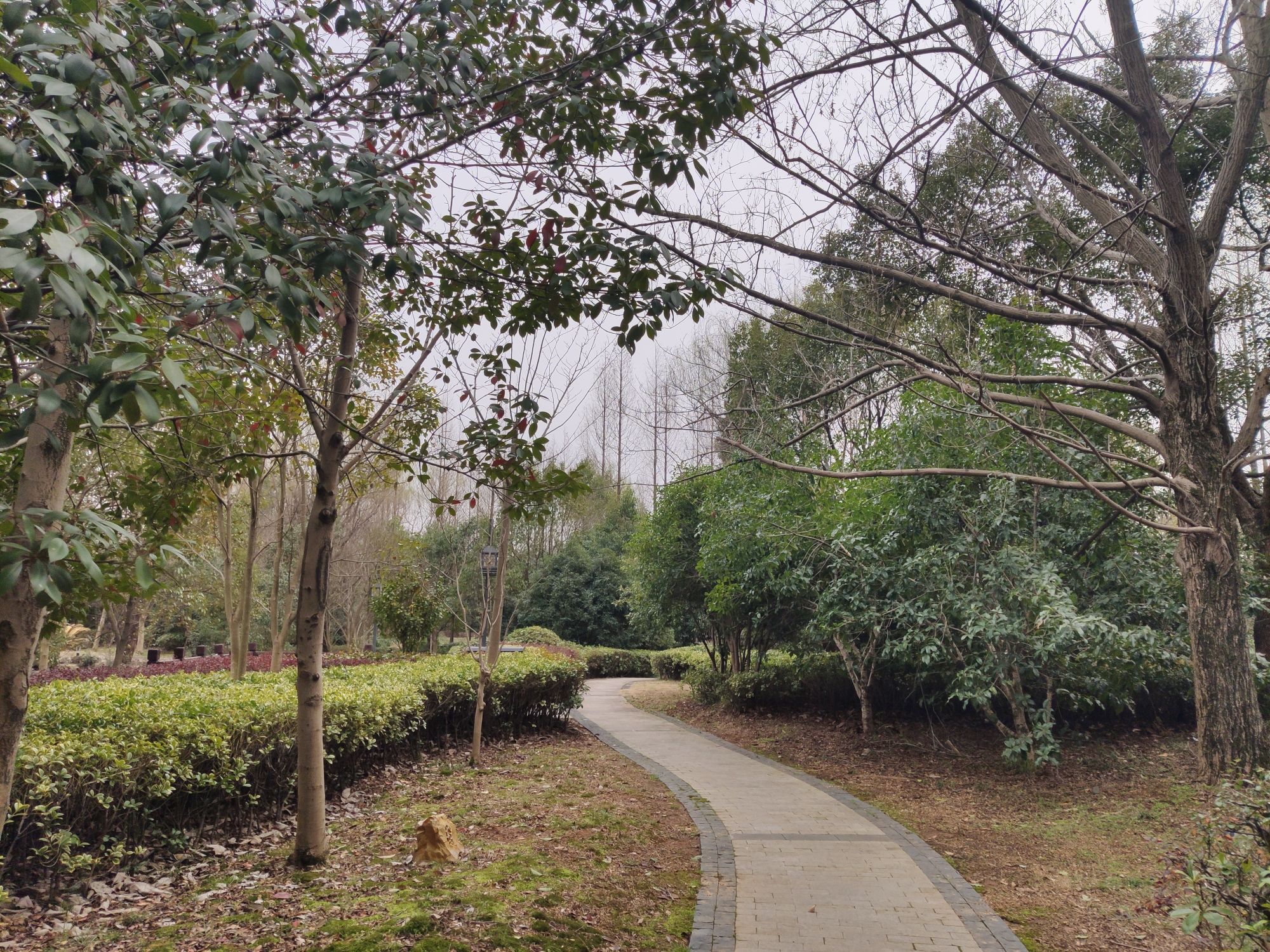 山水清音景区旅行图片 1