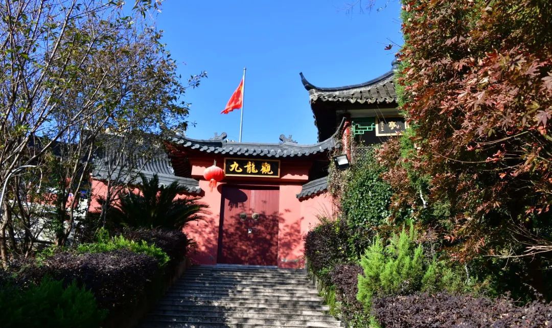 九龙山旅行图片 3