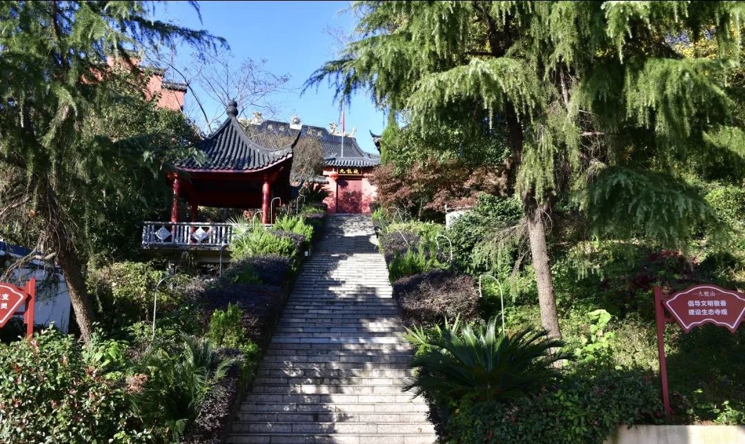九龙山旅行图片 2