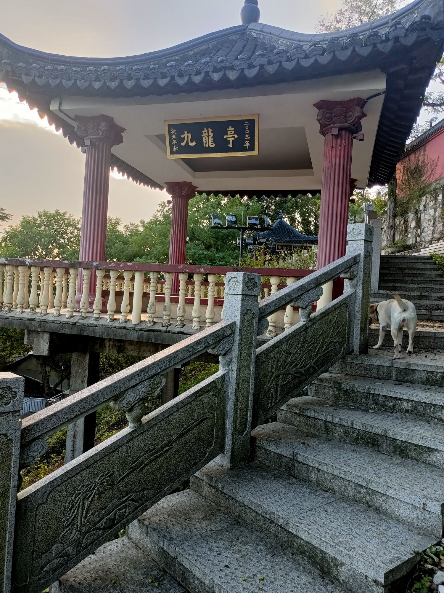 九龙山旅行图片 3
