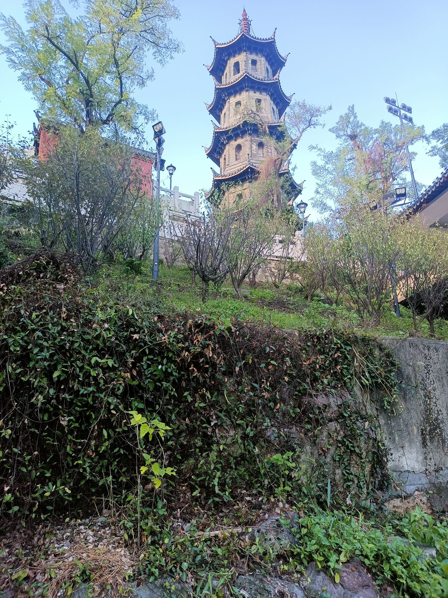 九龙山旅行图片 1