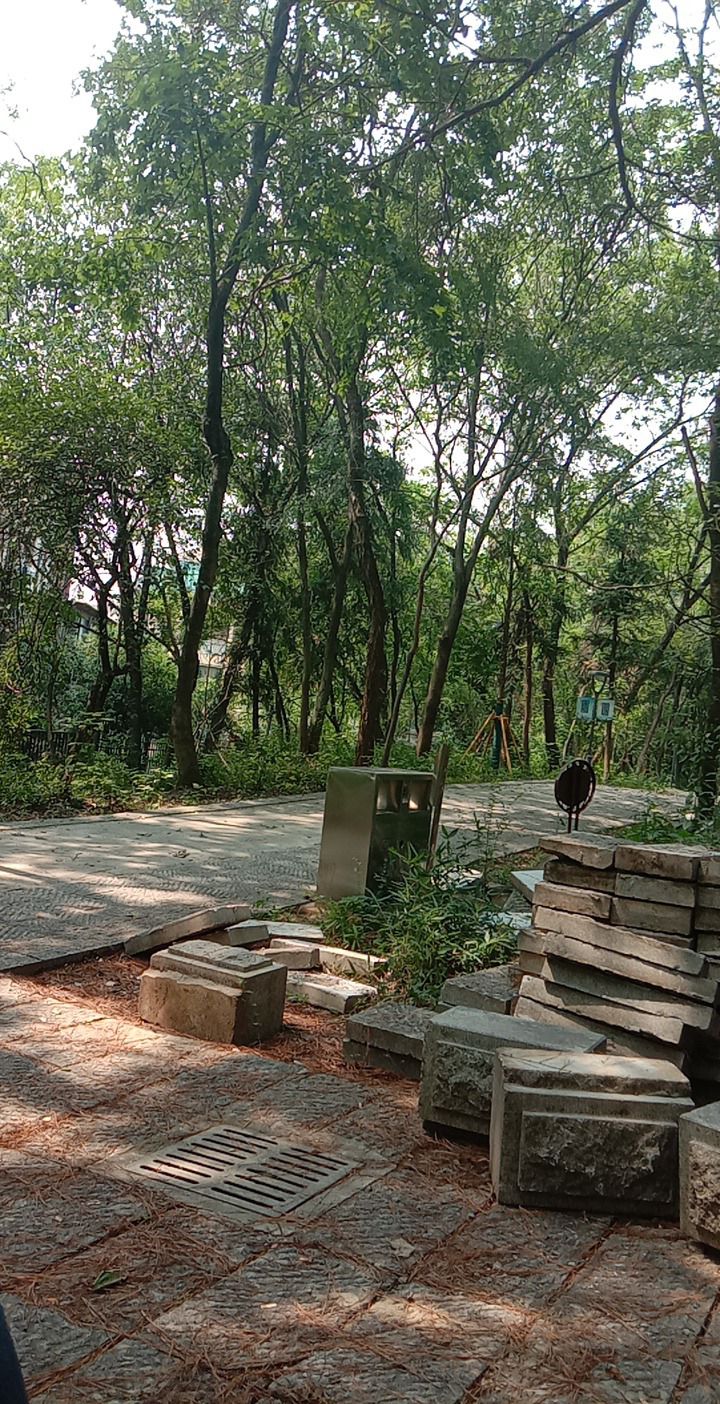 龙山公园旅行图片 1