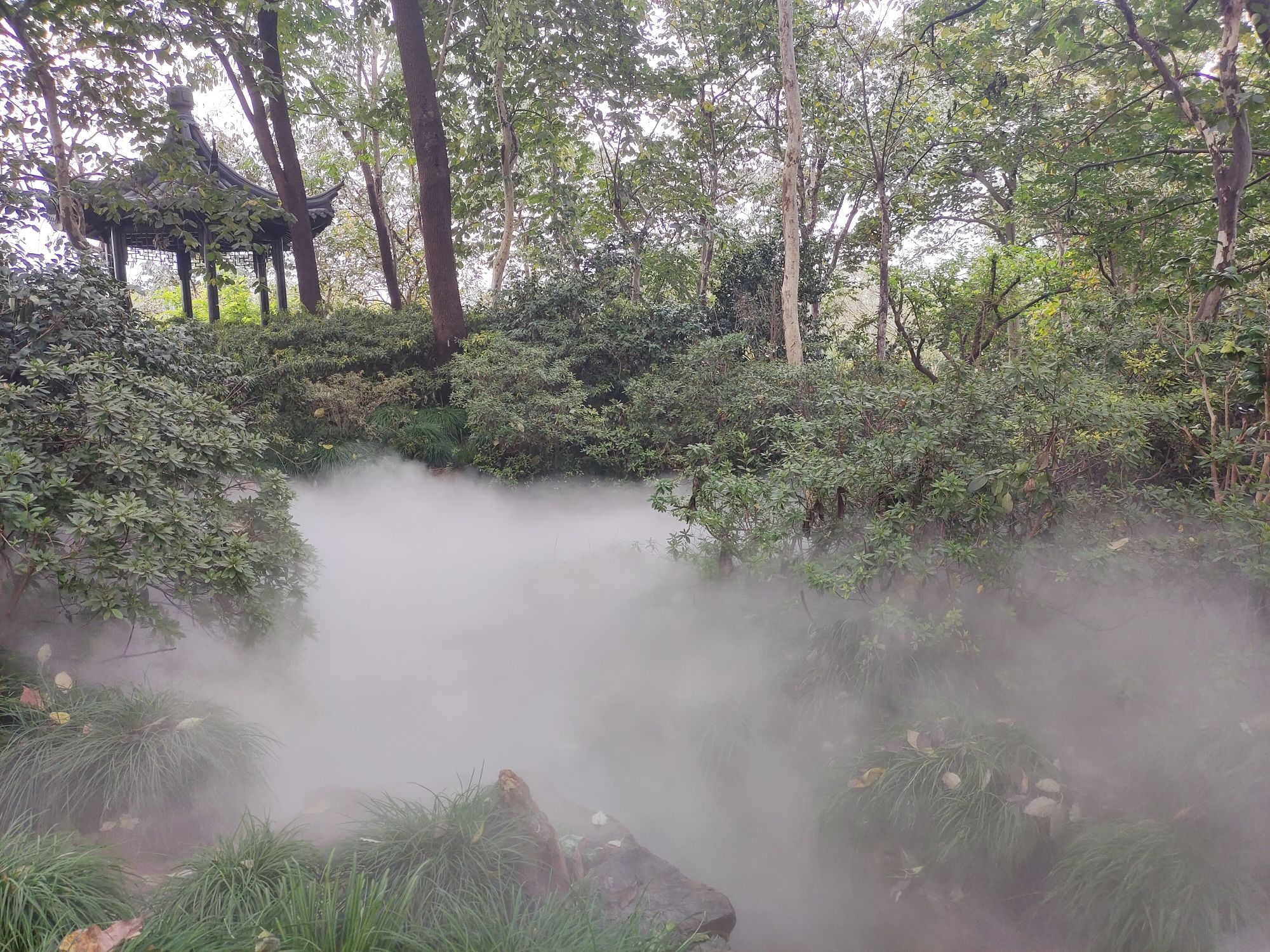 龙山公园旅行图片 2