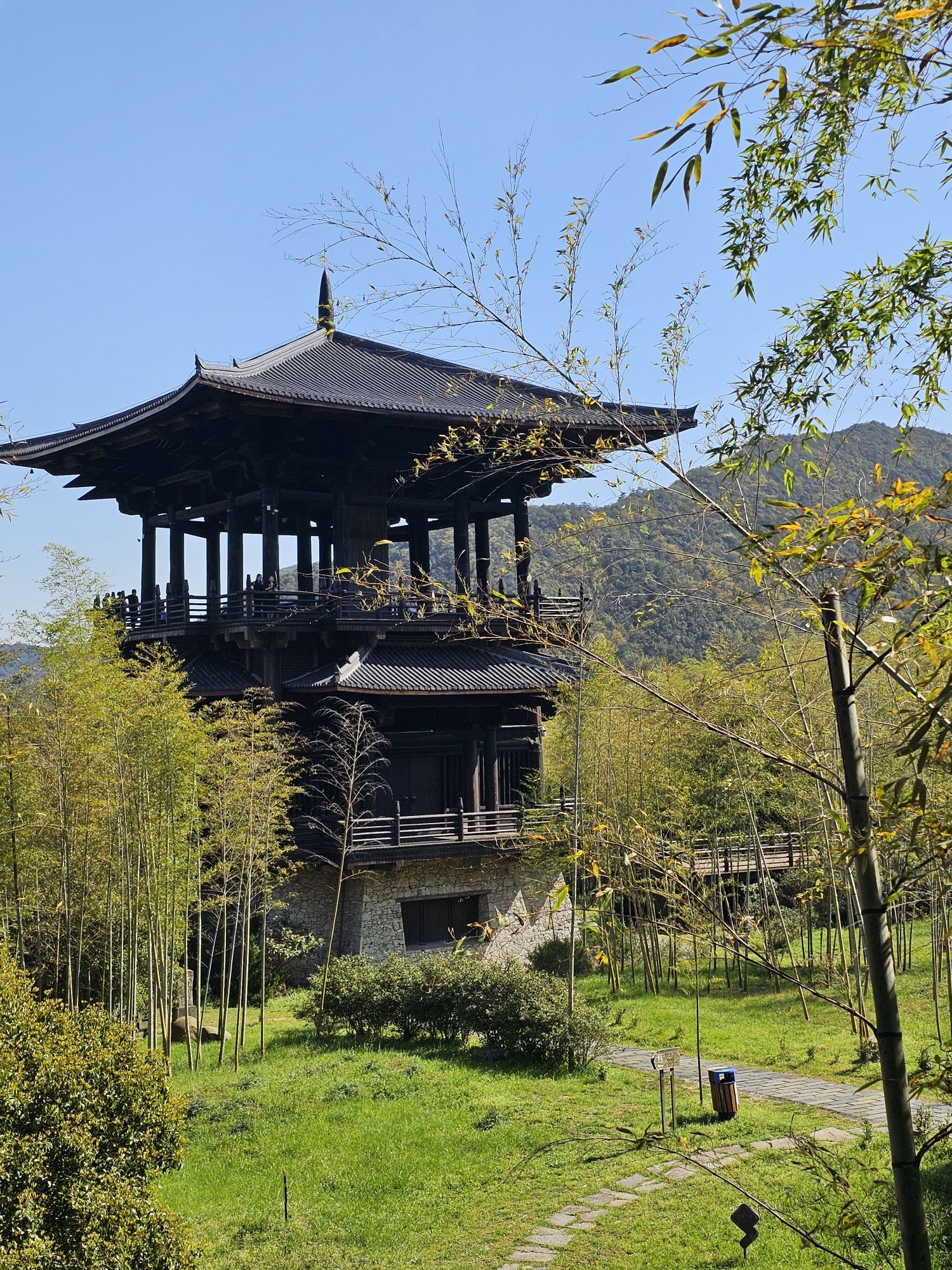 大唐贡茶院旅行图片 2