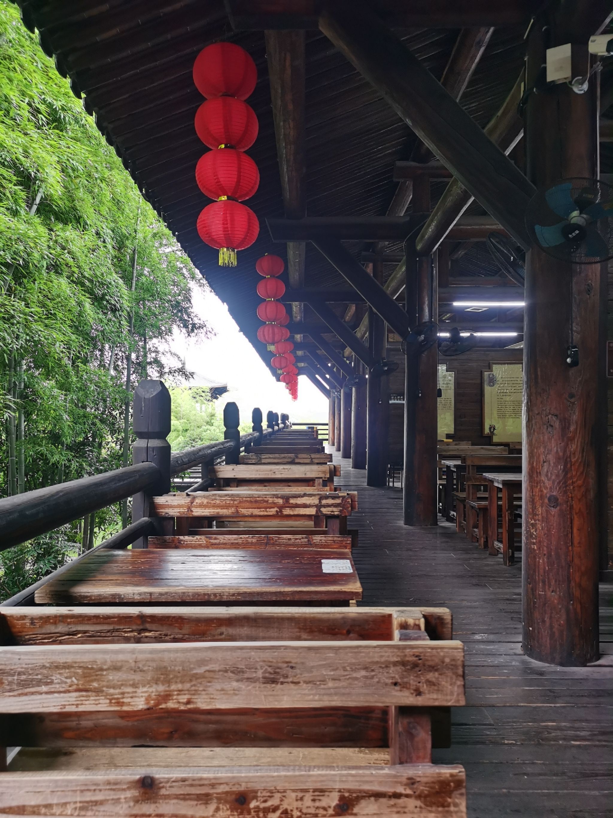 大唐贡茶院旅行图片 1