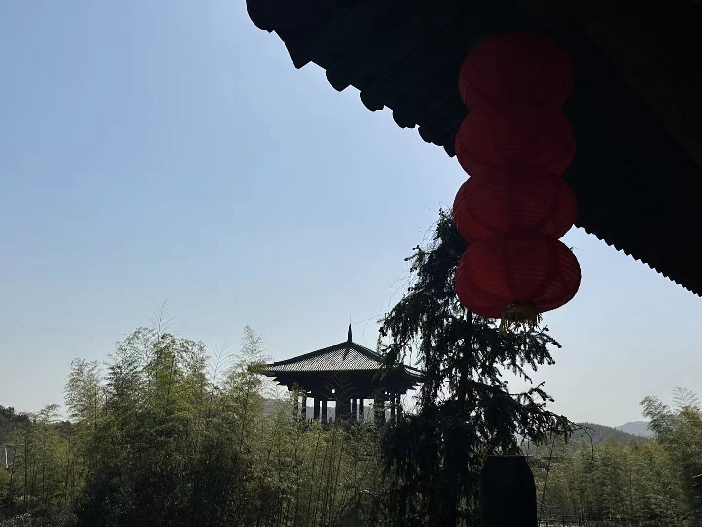 大唐贡茶院旅行图片 3