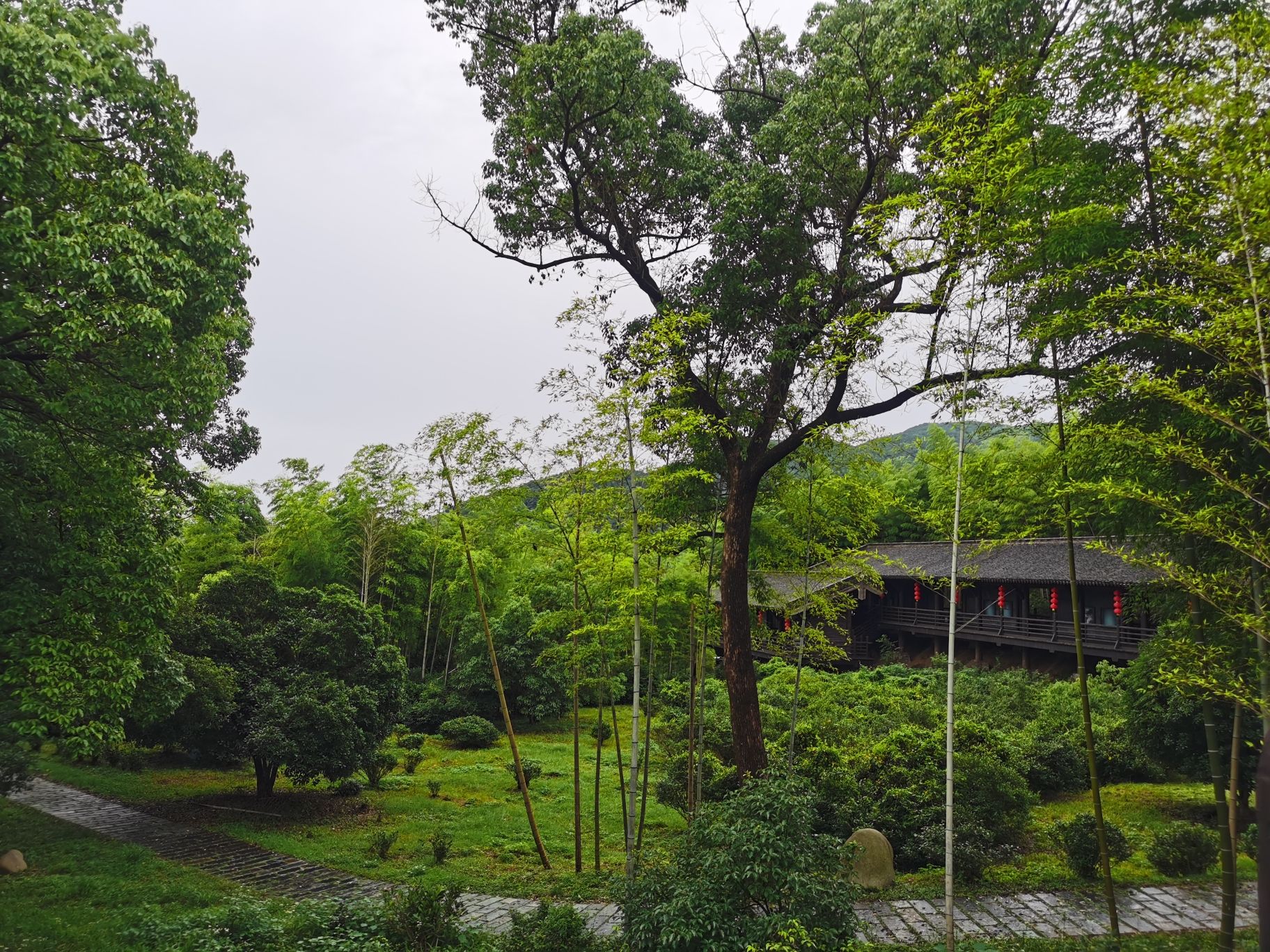 大唐贡茶院旅行图片 3