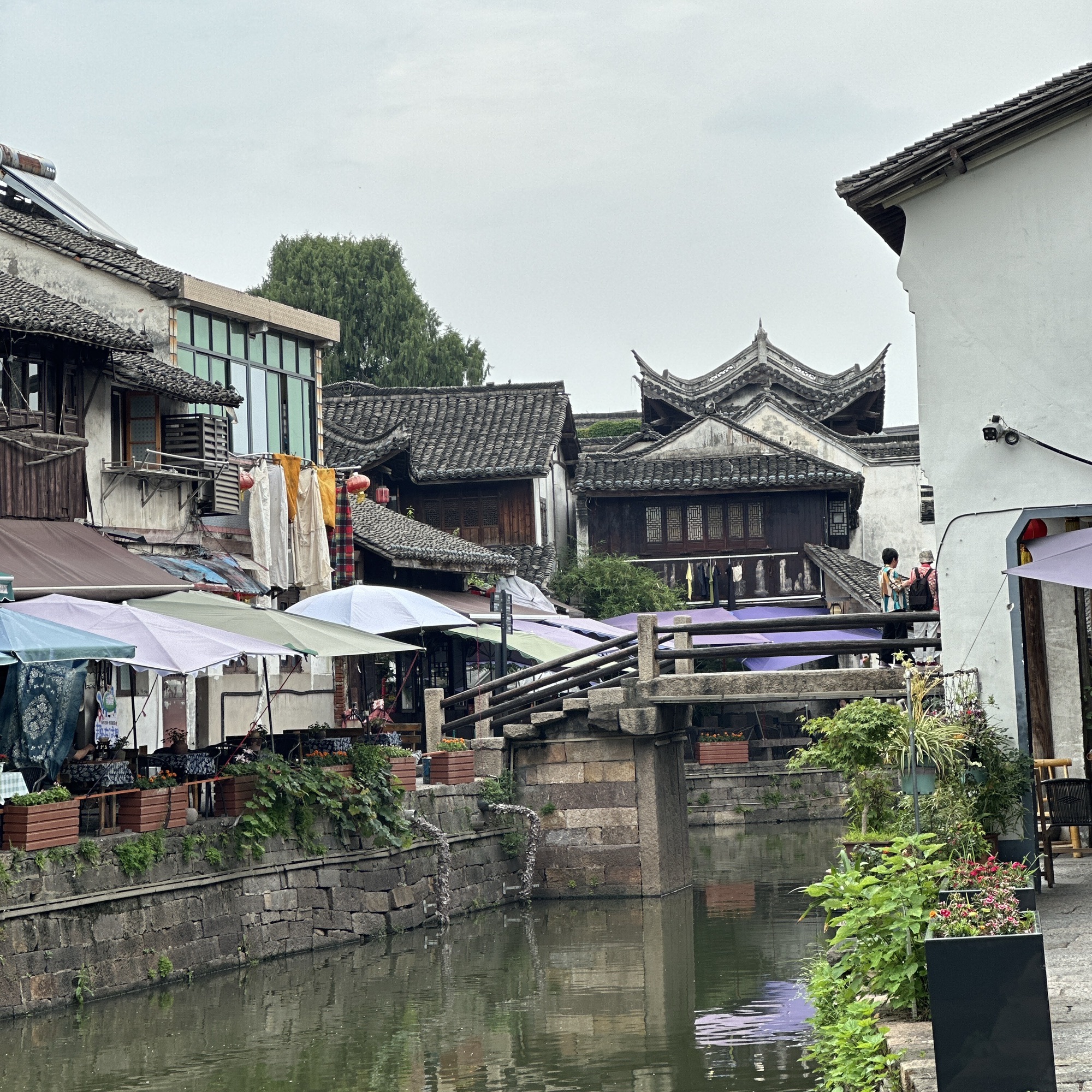 新市古镇旅行图片 1