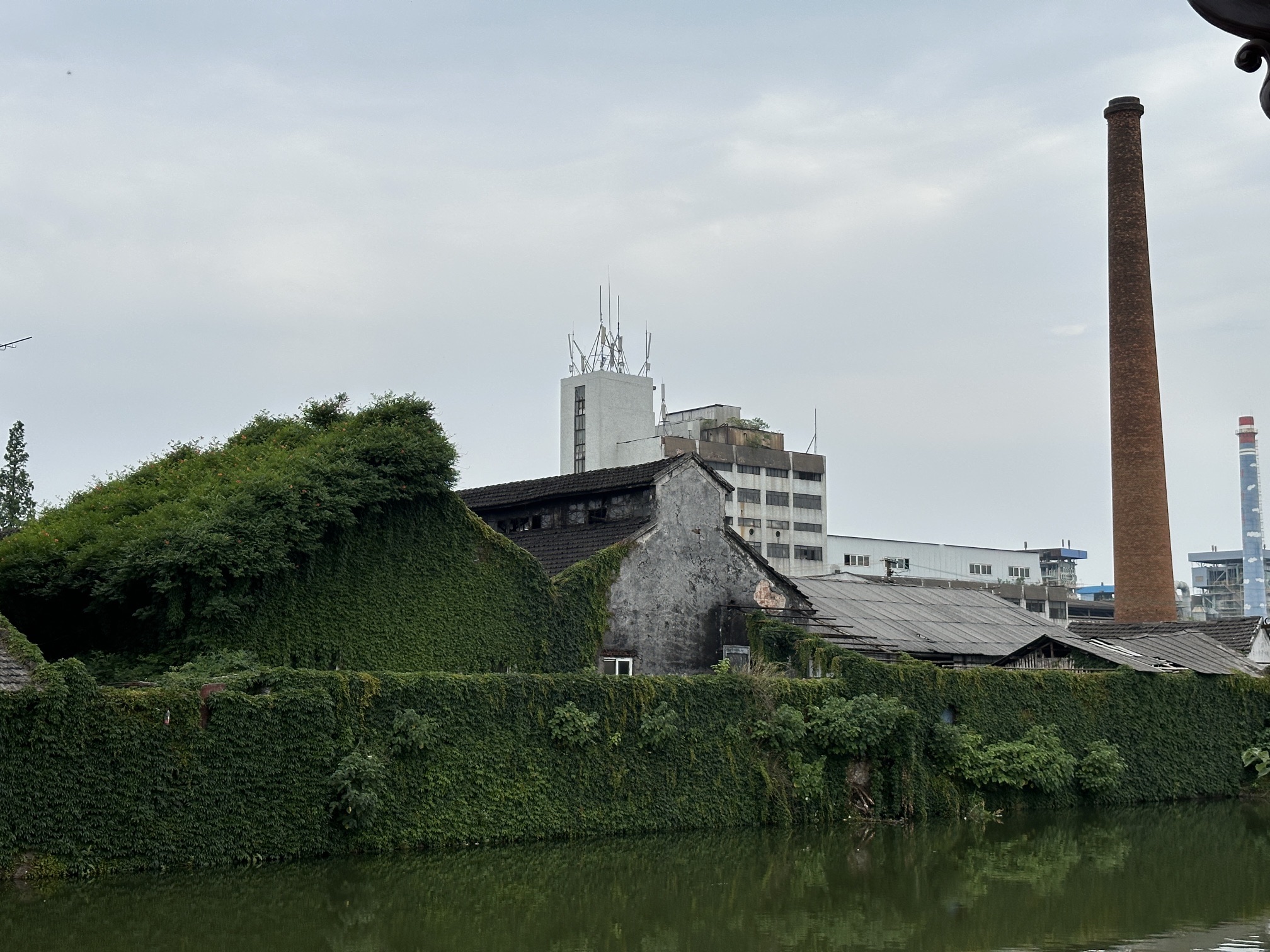 新市古镇旅行图片 2