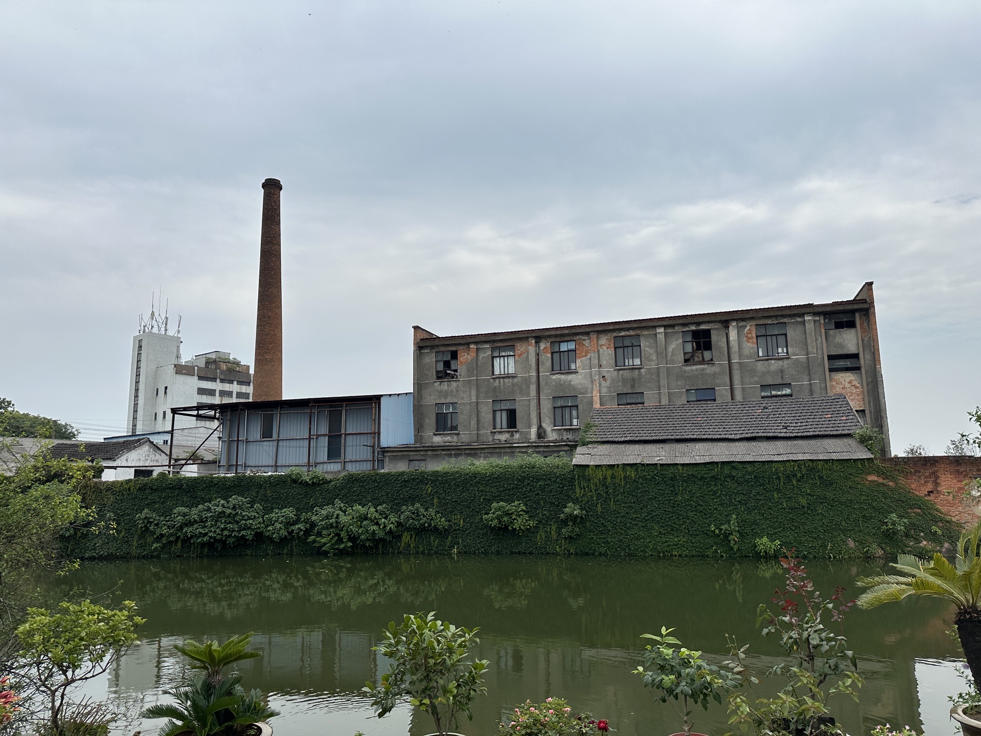 新市古镇旅行图片 3