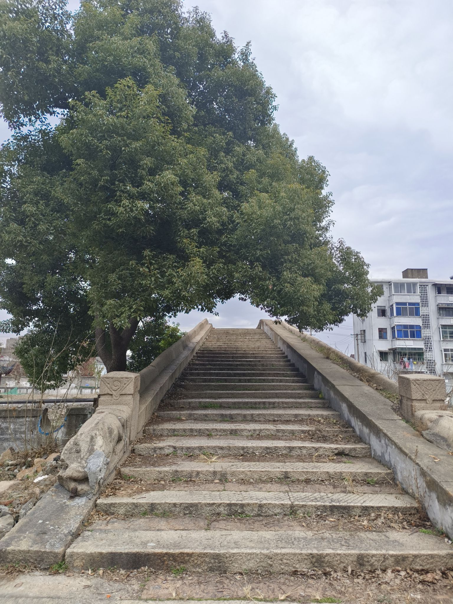 安澜桥旅行图片 1