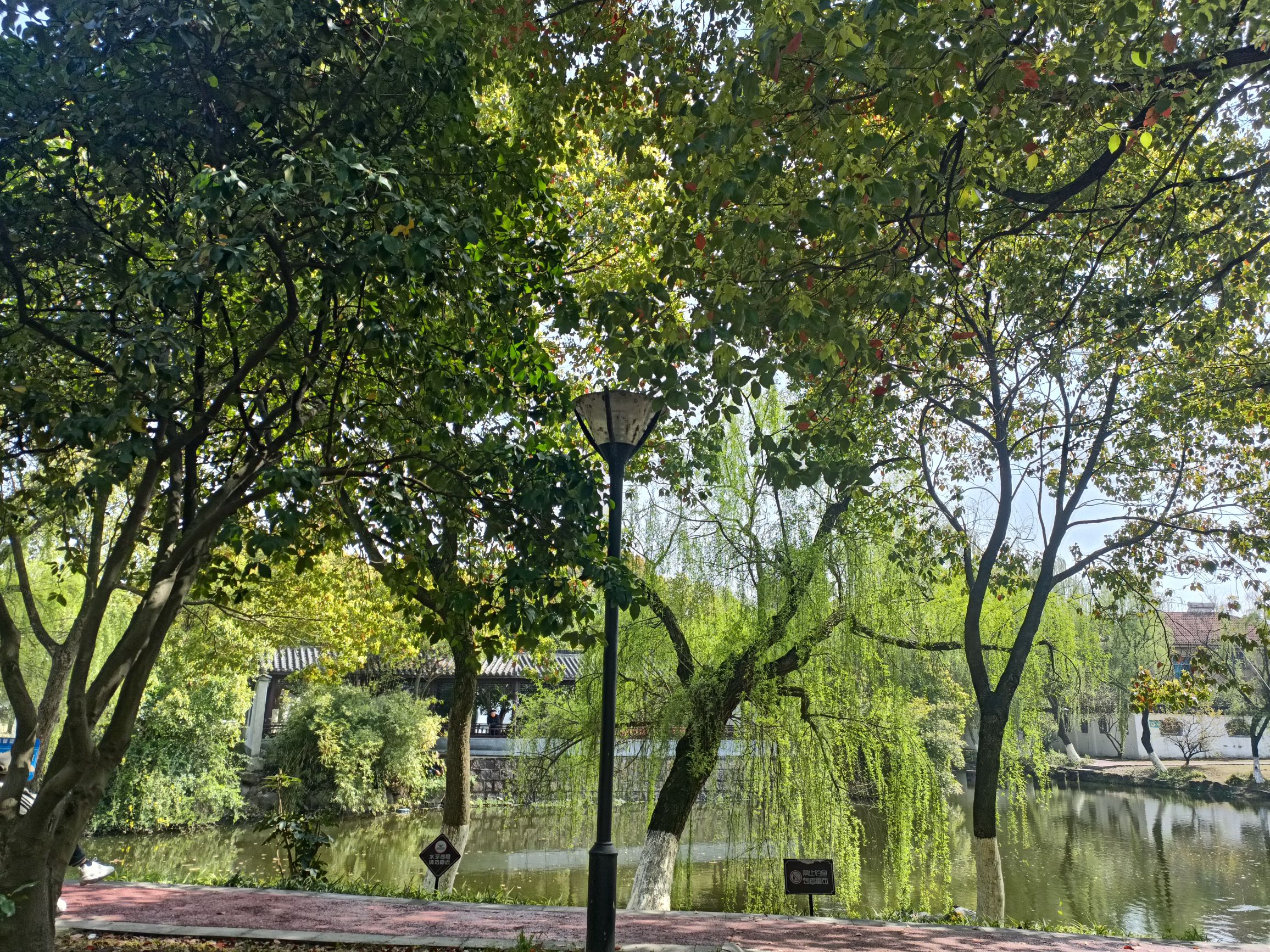 由乐园旅行图片 3