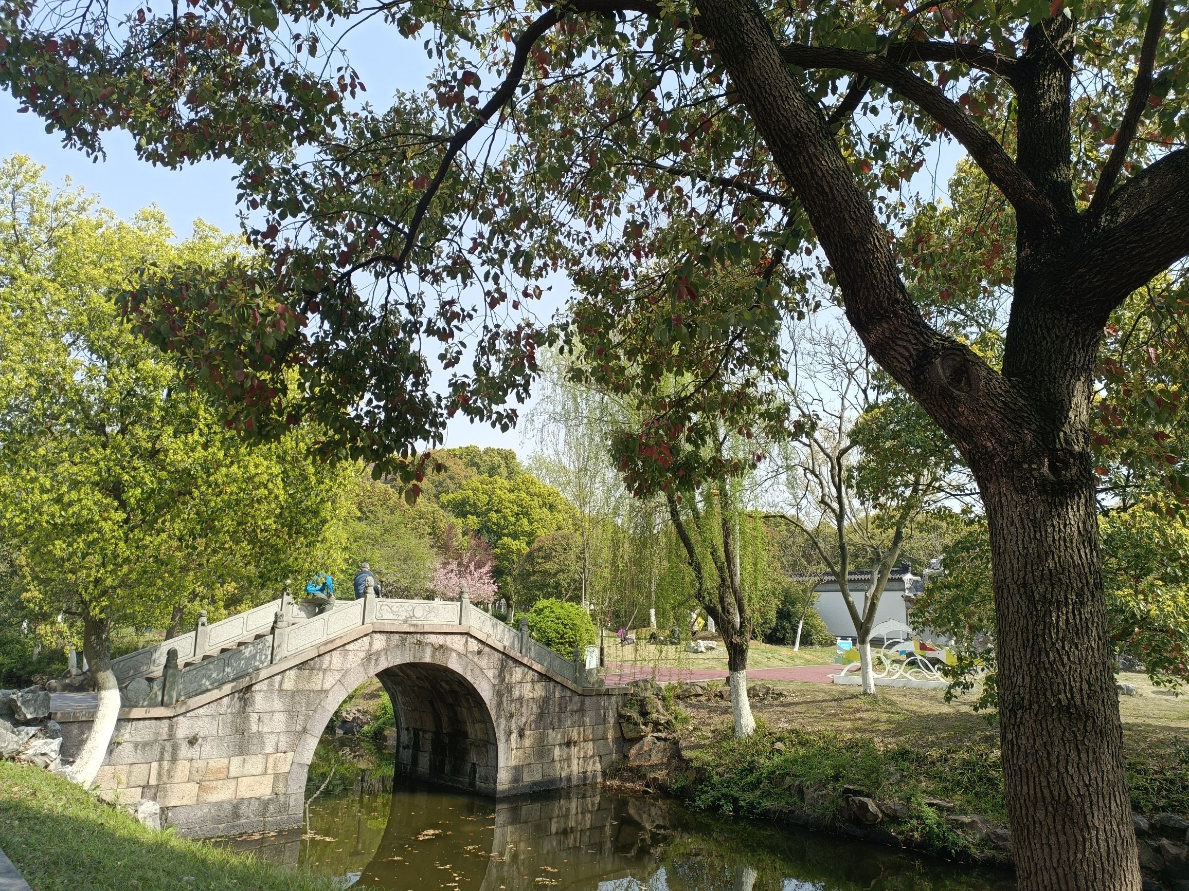 由乐园旅行图片 2